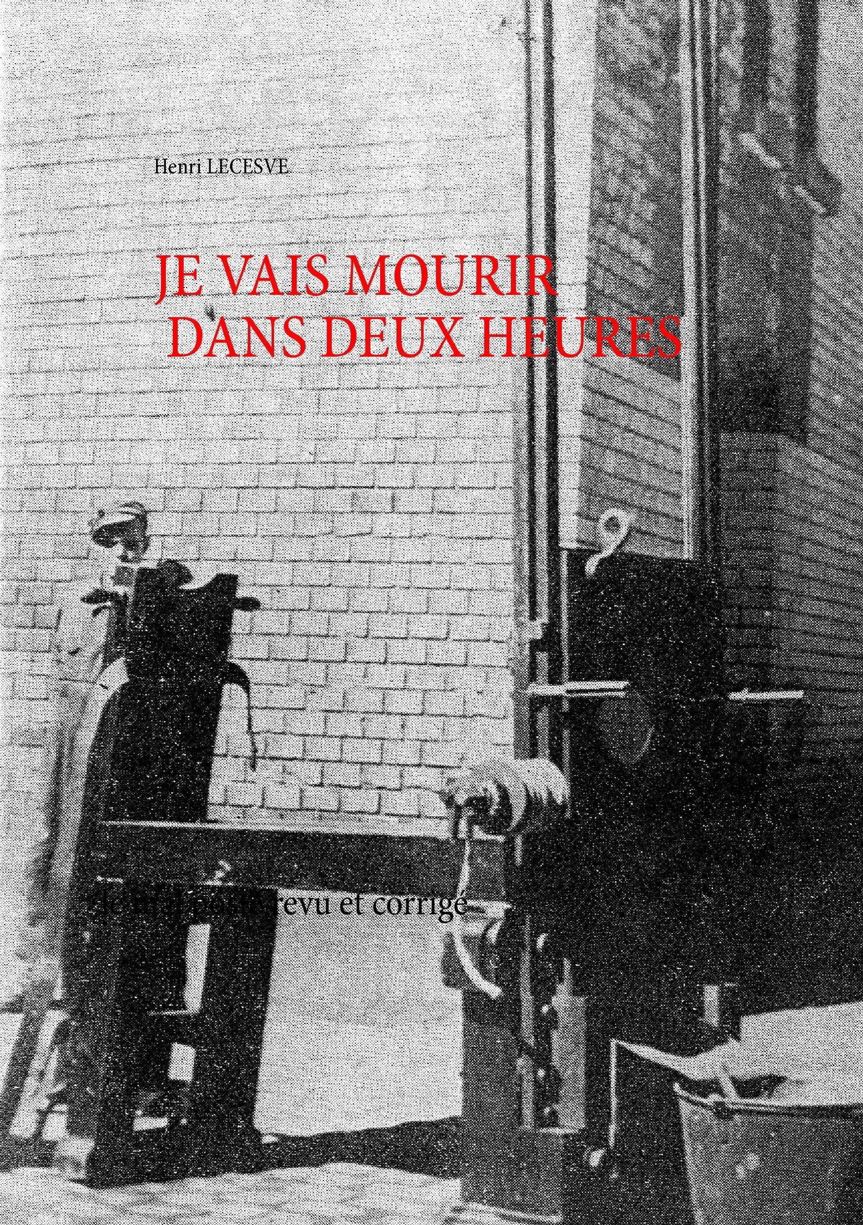 Je vais mourir dans deux heures: le mal poste revu et corrigé book