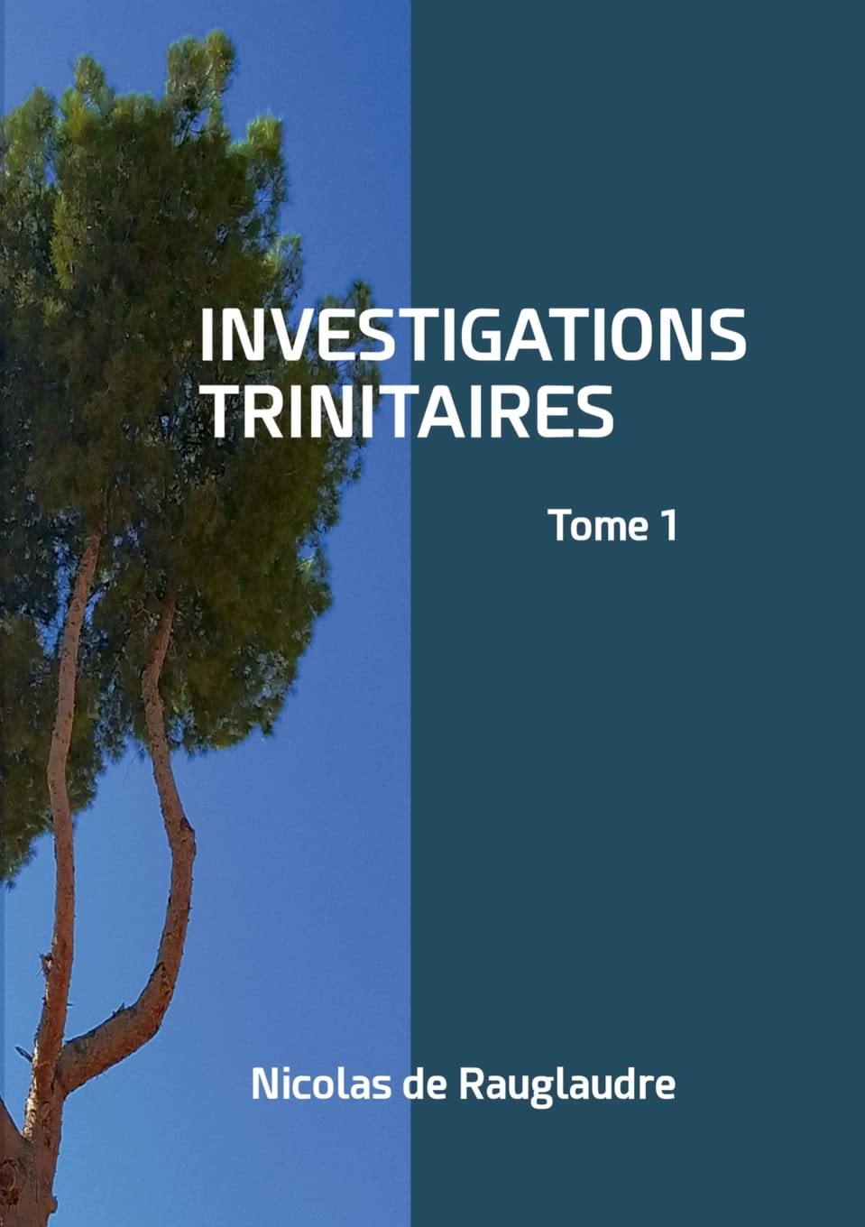 Investigations trinitaires: Tome 1 book