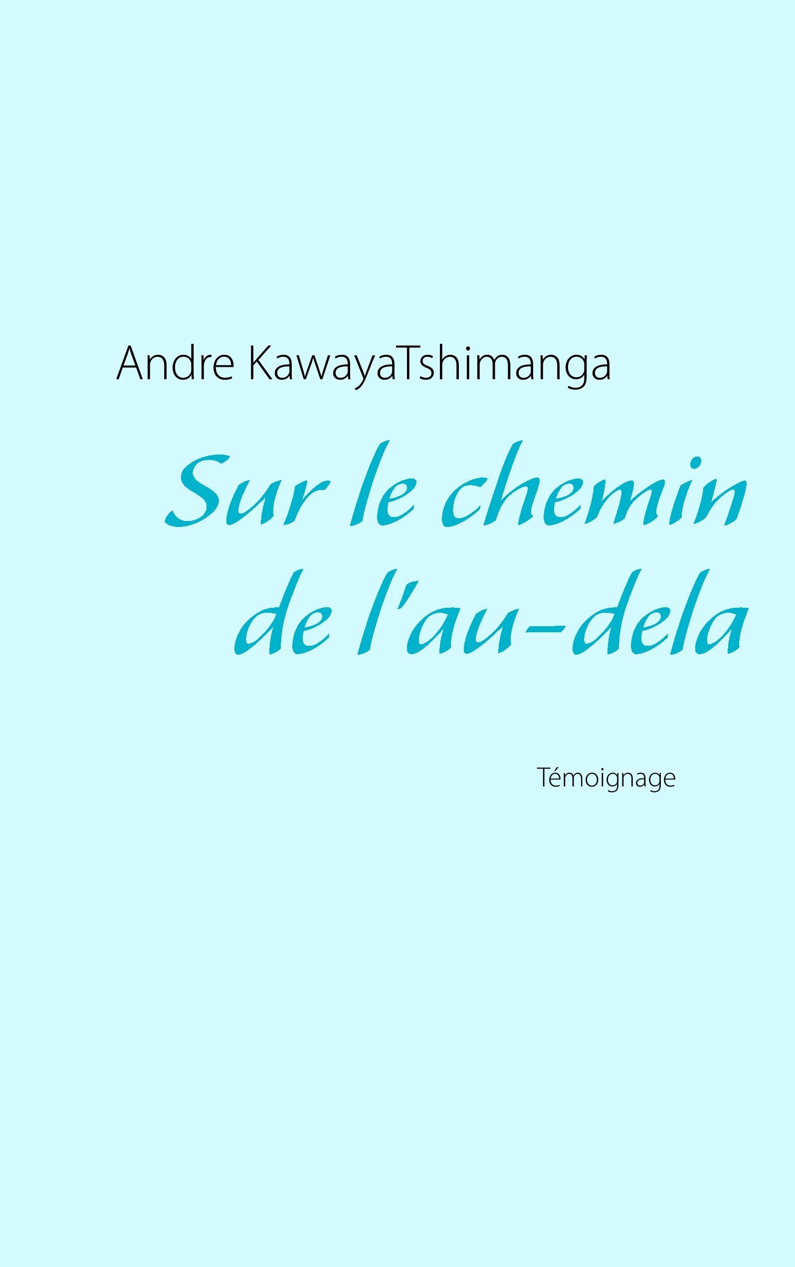 Sur le chemin de l'au-dela Contemporary literature