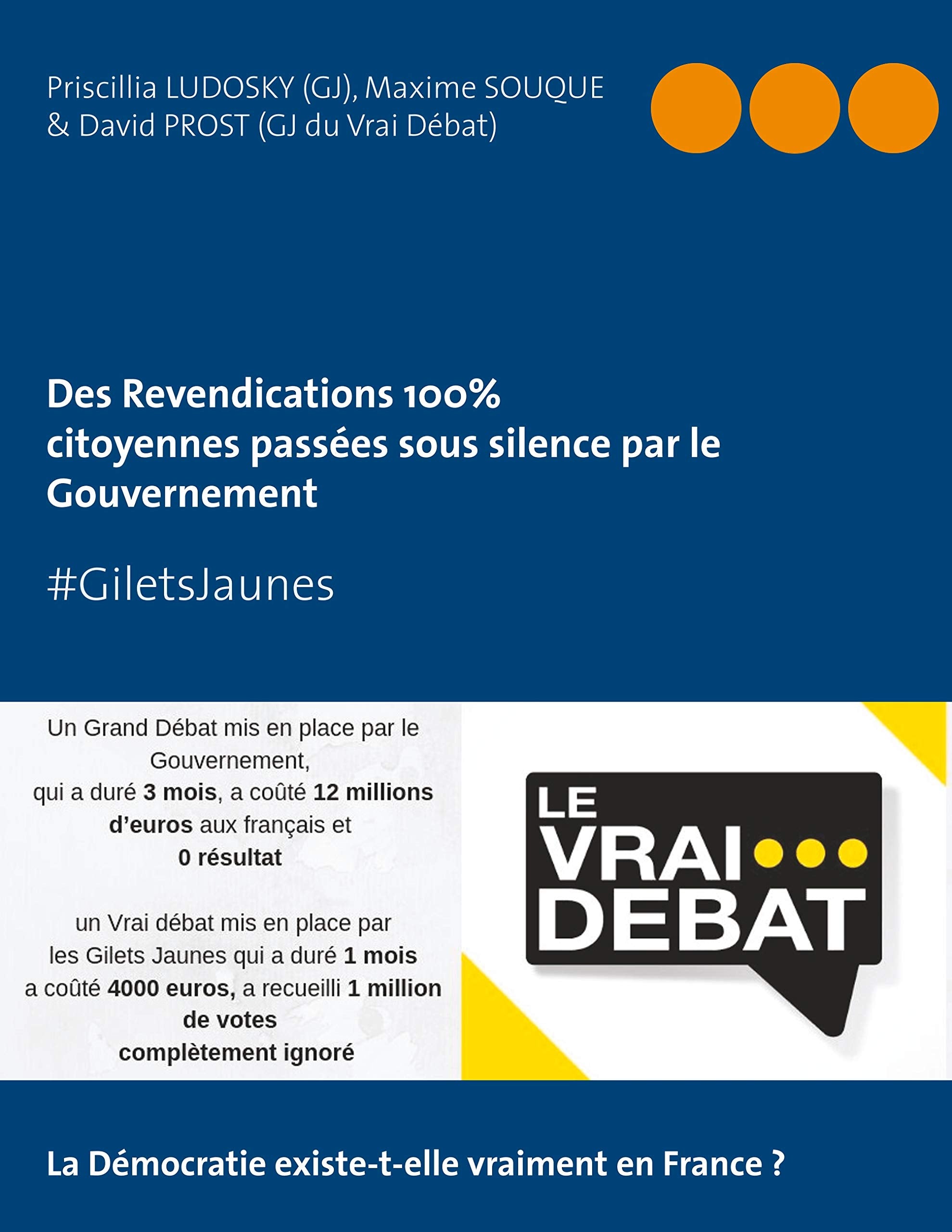 #GILETS JAUNES Revendications 100% citoyennes passées sous silence par le Gouvernement Law