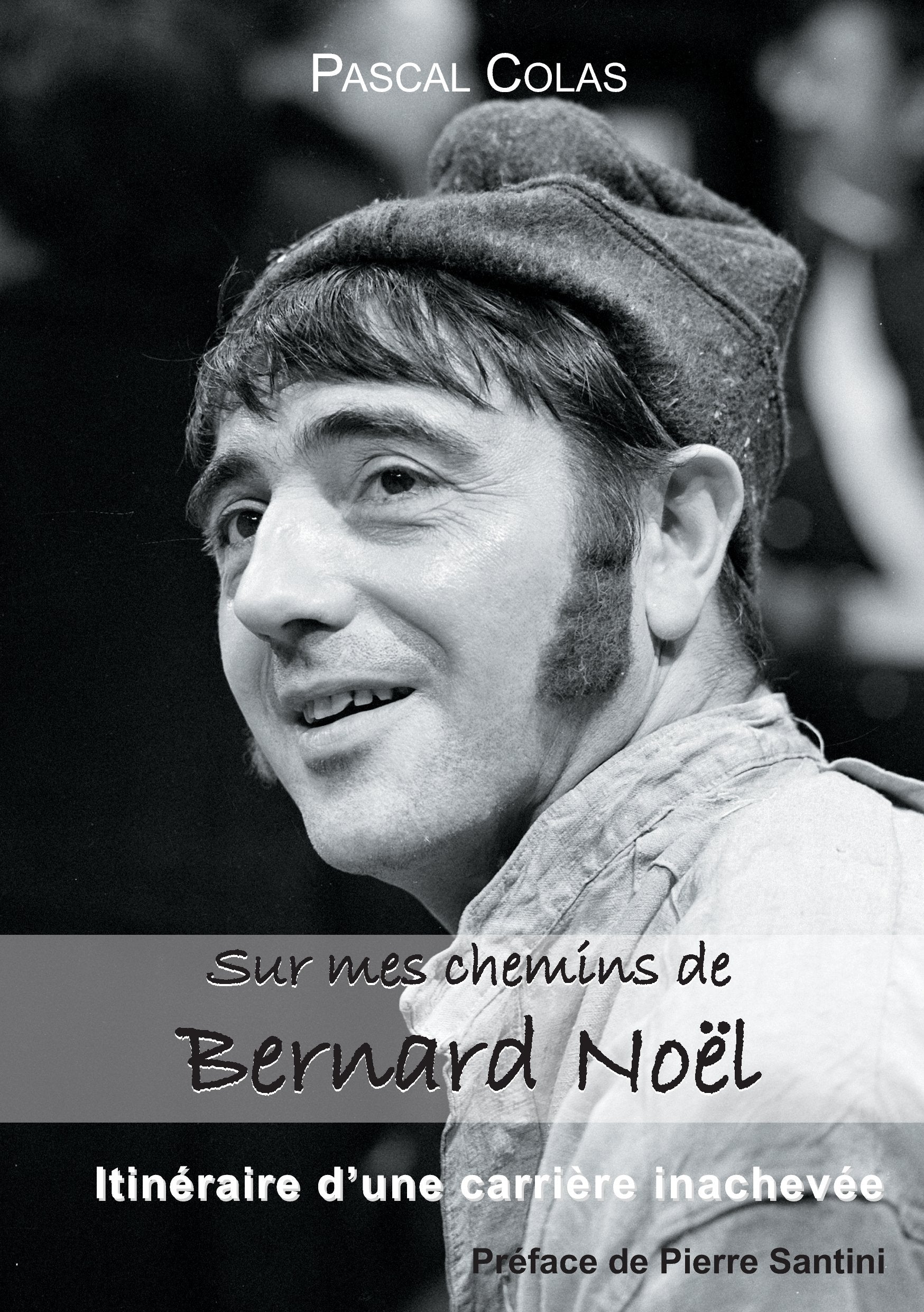Sur mes chemins de Bernard Noël: itinéraire d'une carrière inachevée book