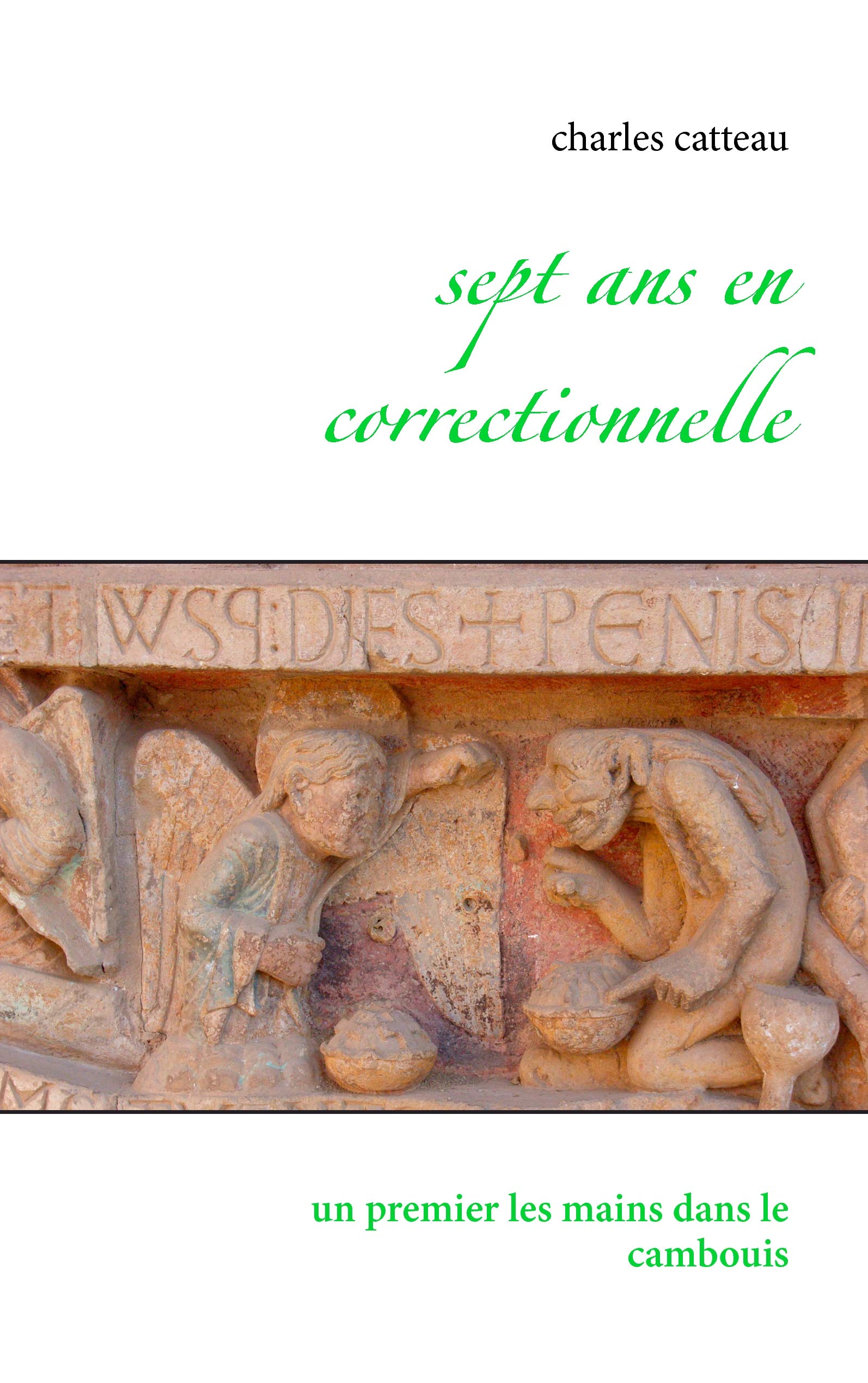 Sept ans en correctionnelle: Un premier les mains dans le cambouis book