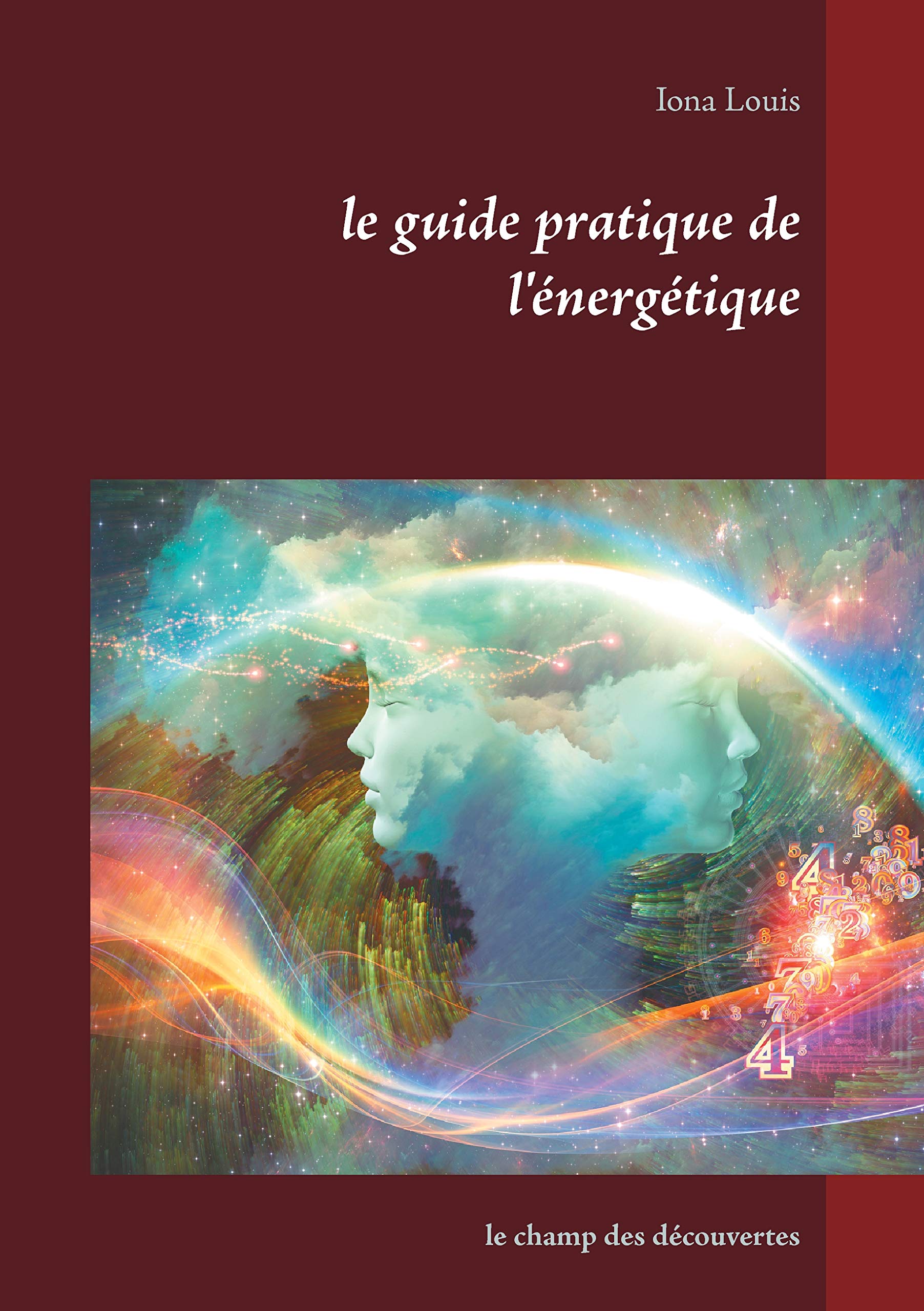 le guide pratique de l'énergétique: le champ des découvertes book
