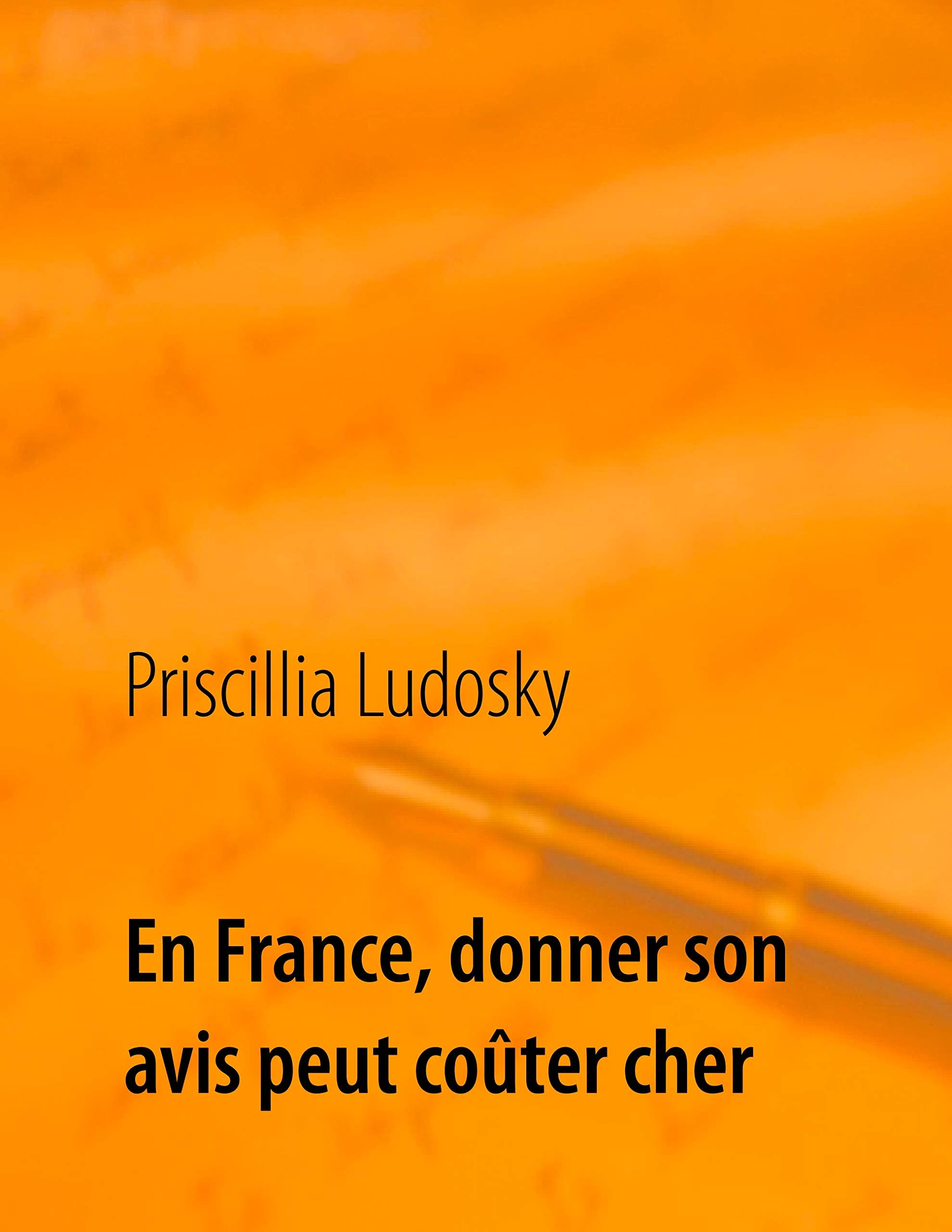 En France, donner son avis peut coûter cher Law