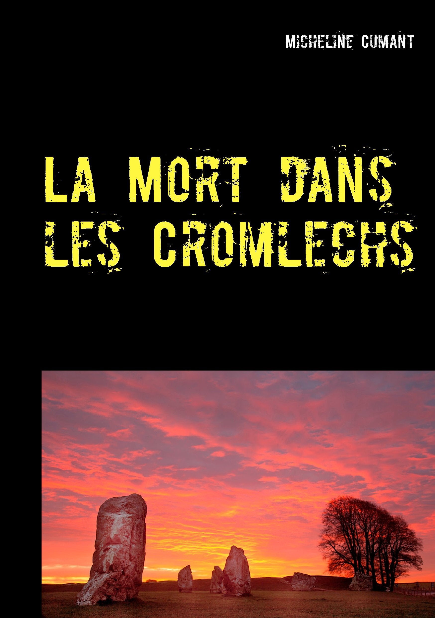 La Mort dans les Cromlechs: Une enquête du Superintendent Rockwell book