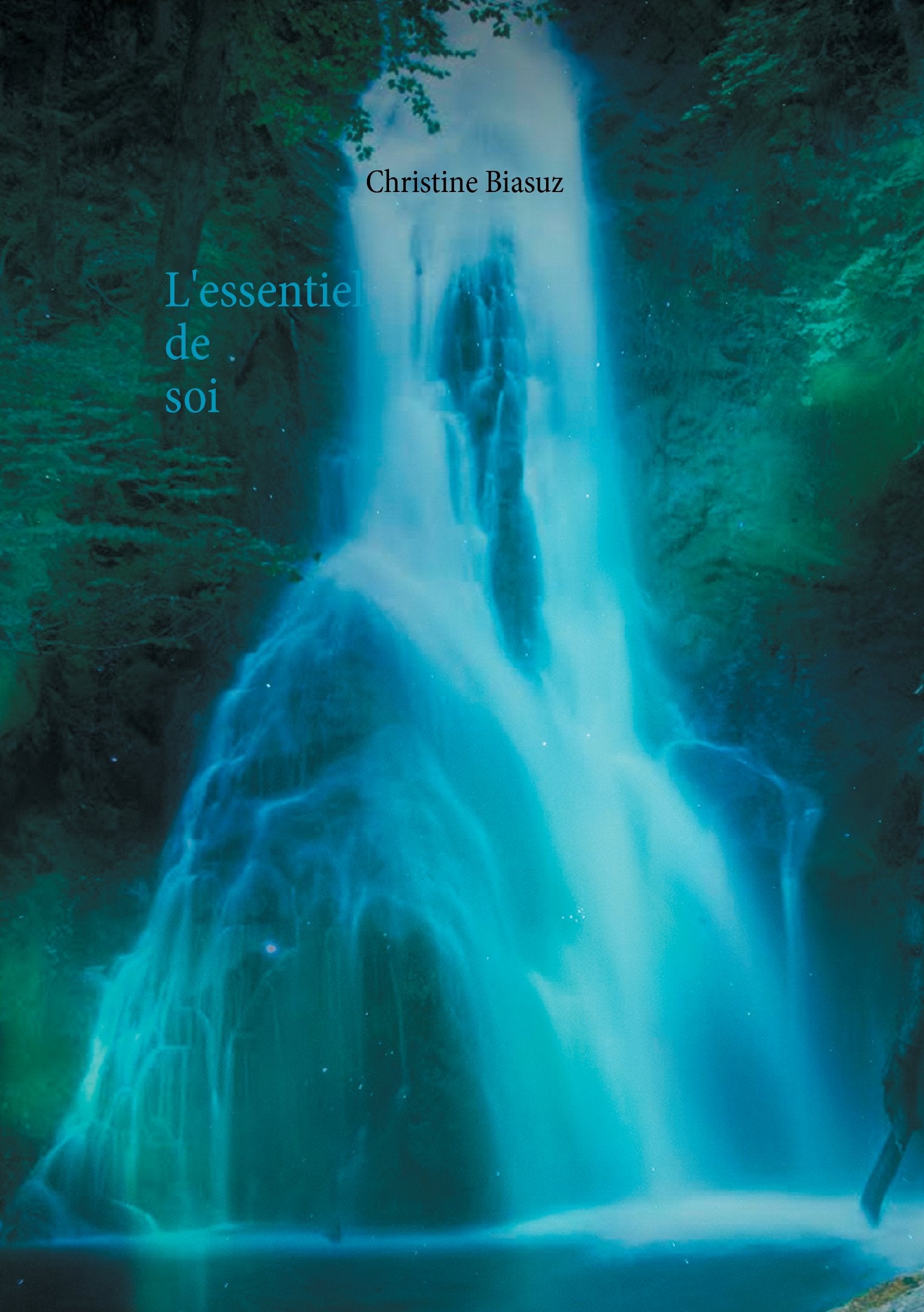 L'essentiel de soi book