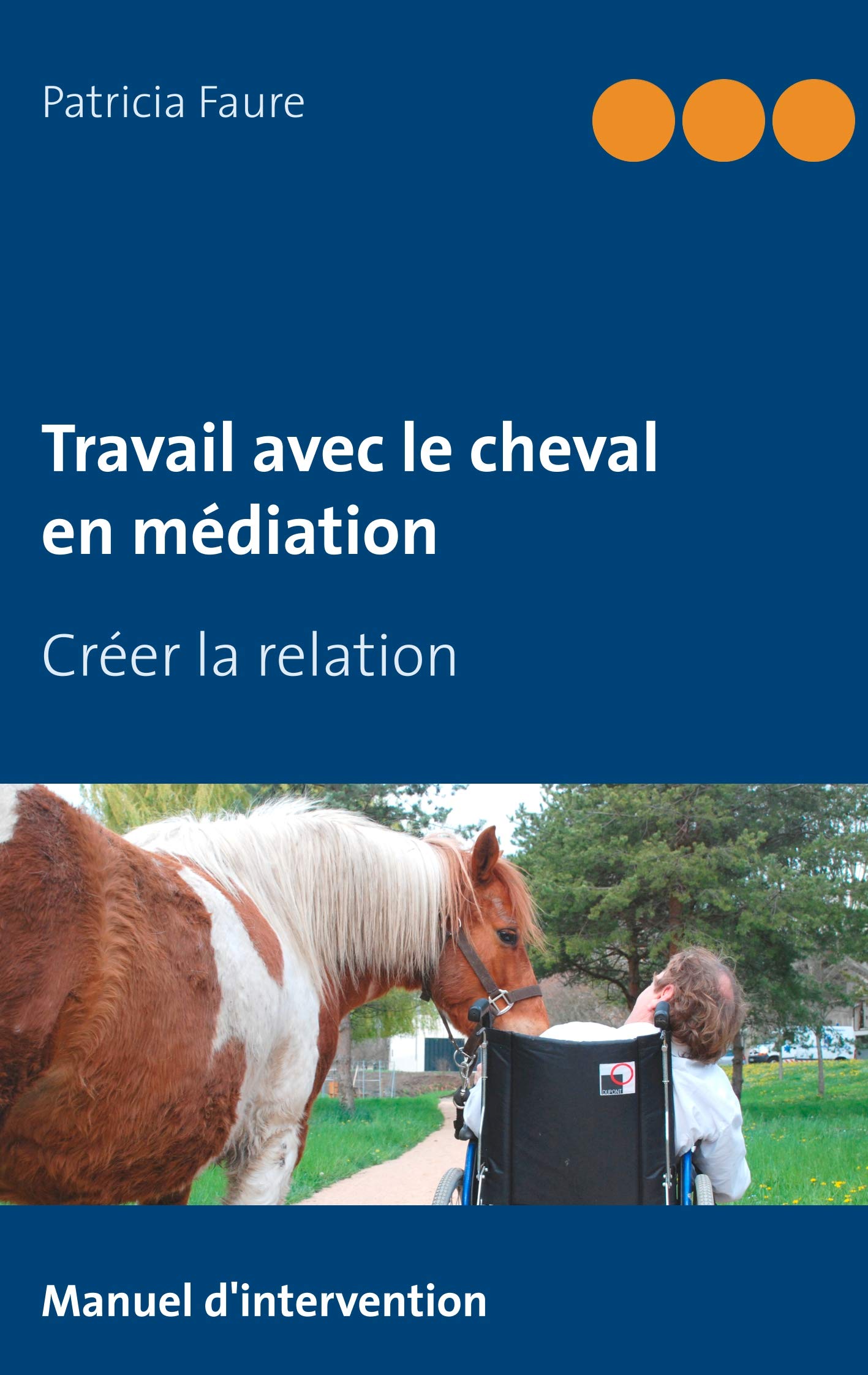 Travail avec le cheval en médiation: Créer la relation book