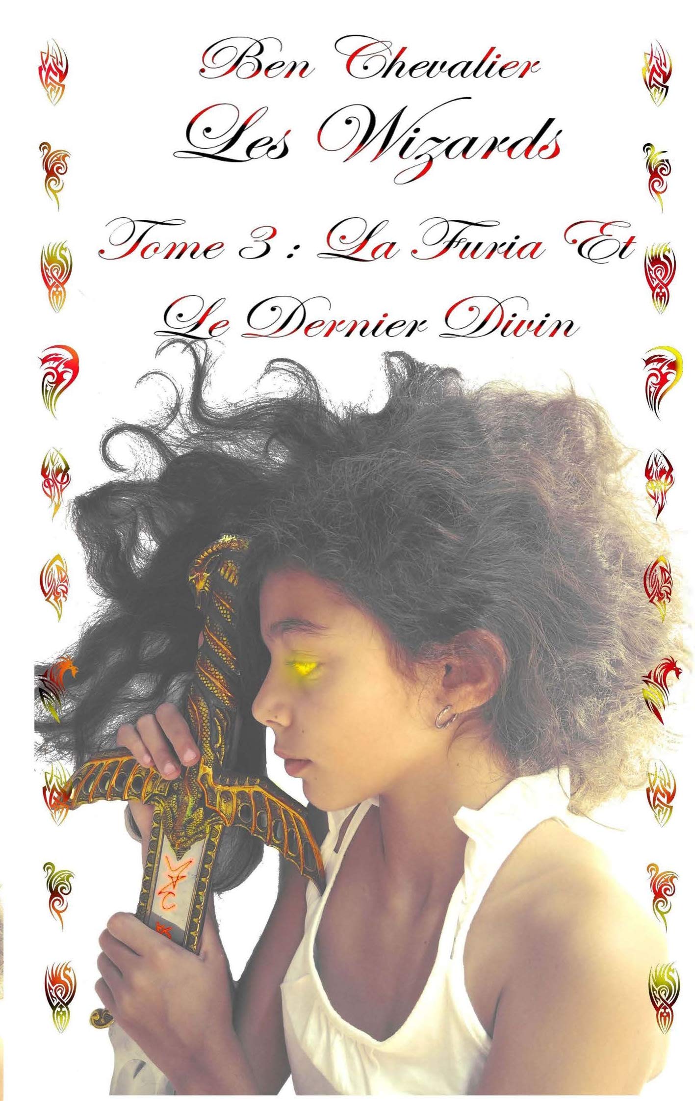 Les Wizards: Tome 3: La Furia et le dernier divin book