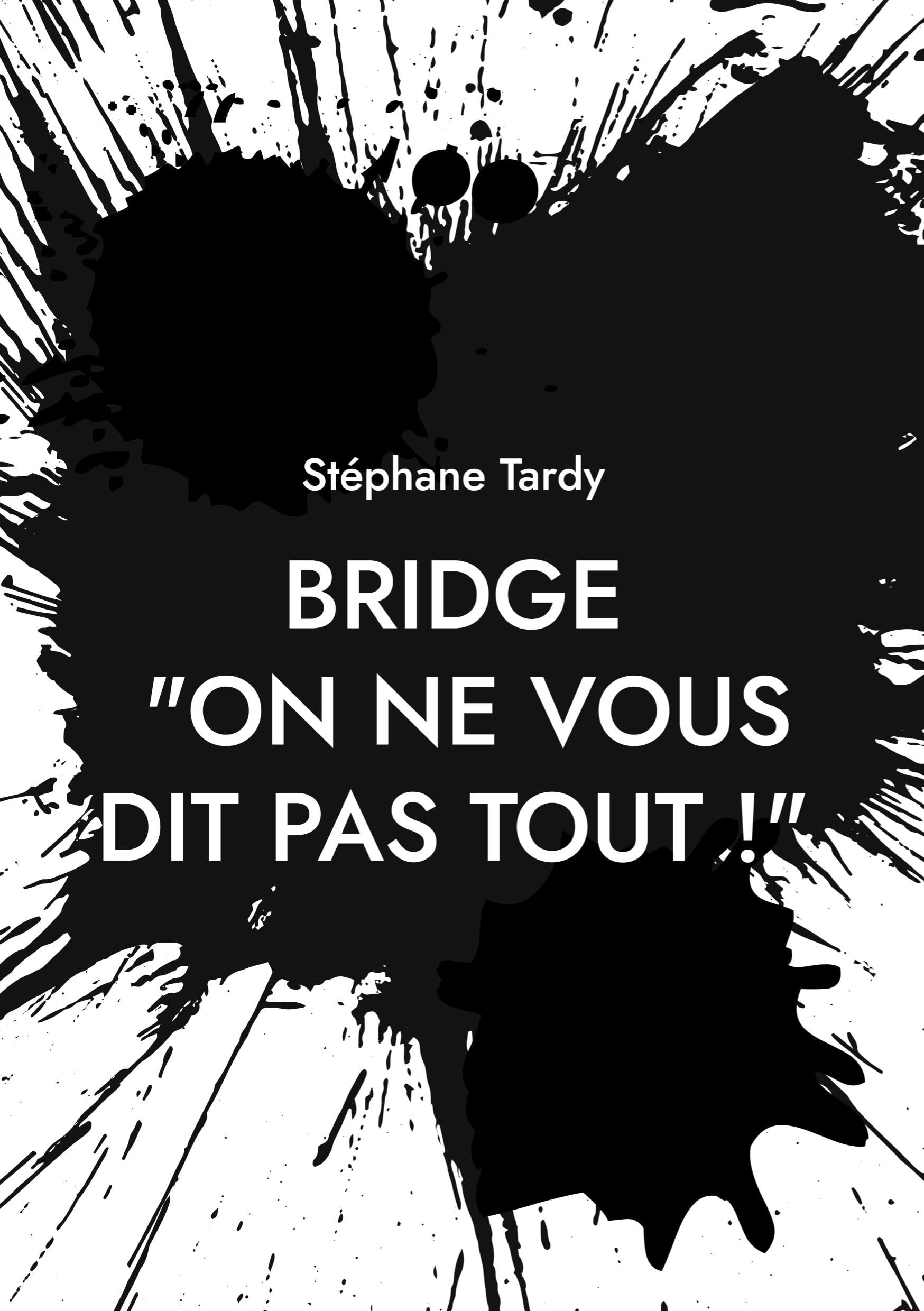 Bridge : "On ne vous dit pas tout !": Le système d'enseignement français passé au crible : ses richesses, ses limites. Les contre-propositions qui s'imposent book