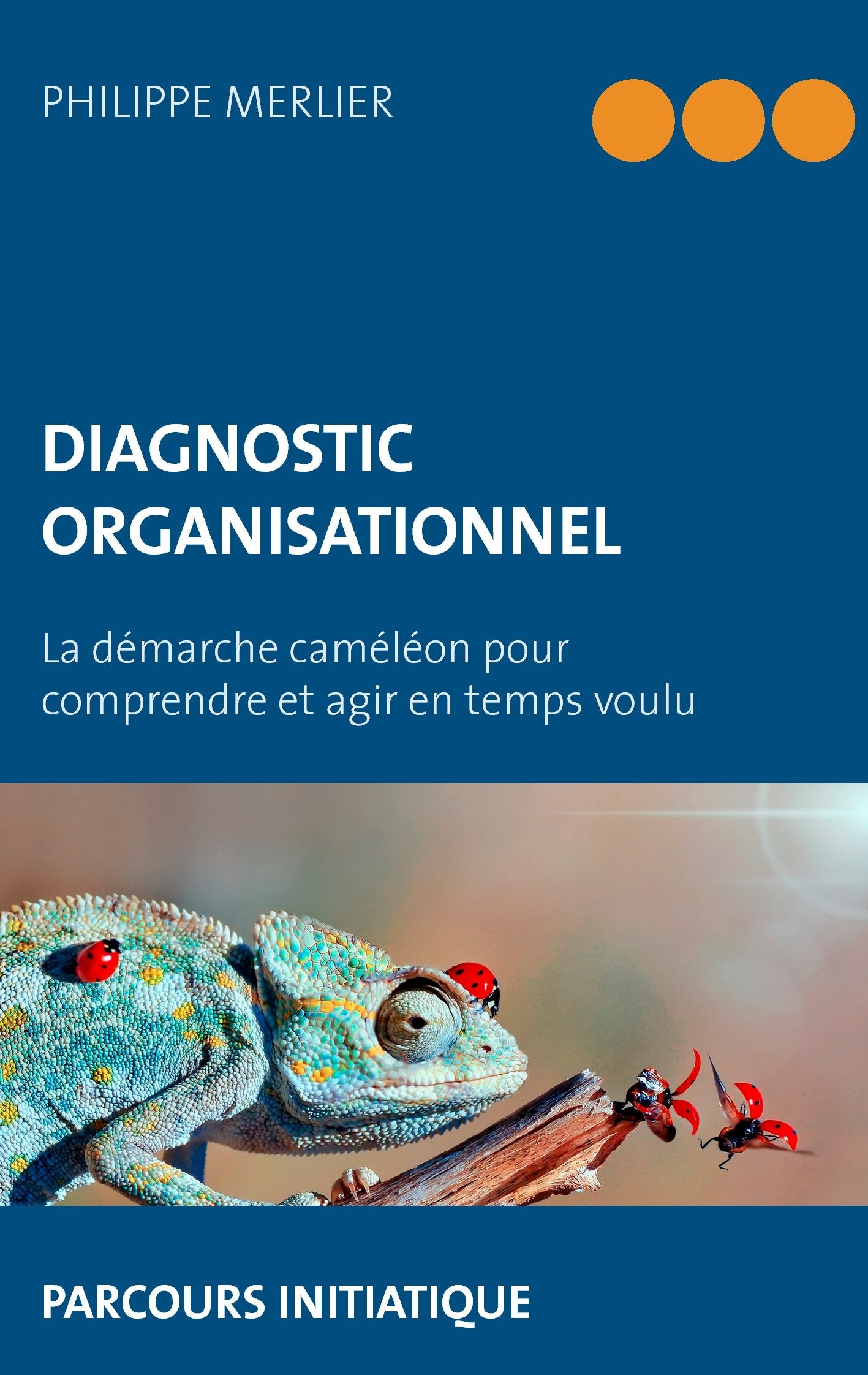 Merlier, P: FRE-DIAGNOSTIC ORGANISATIONNEL Law