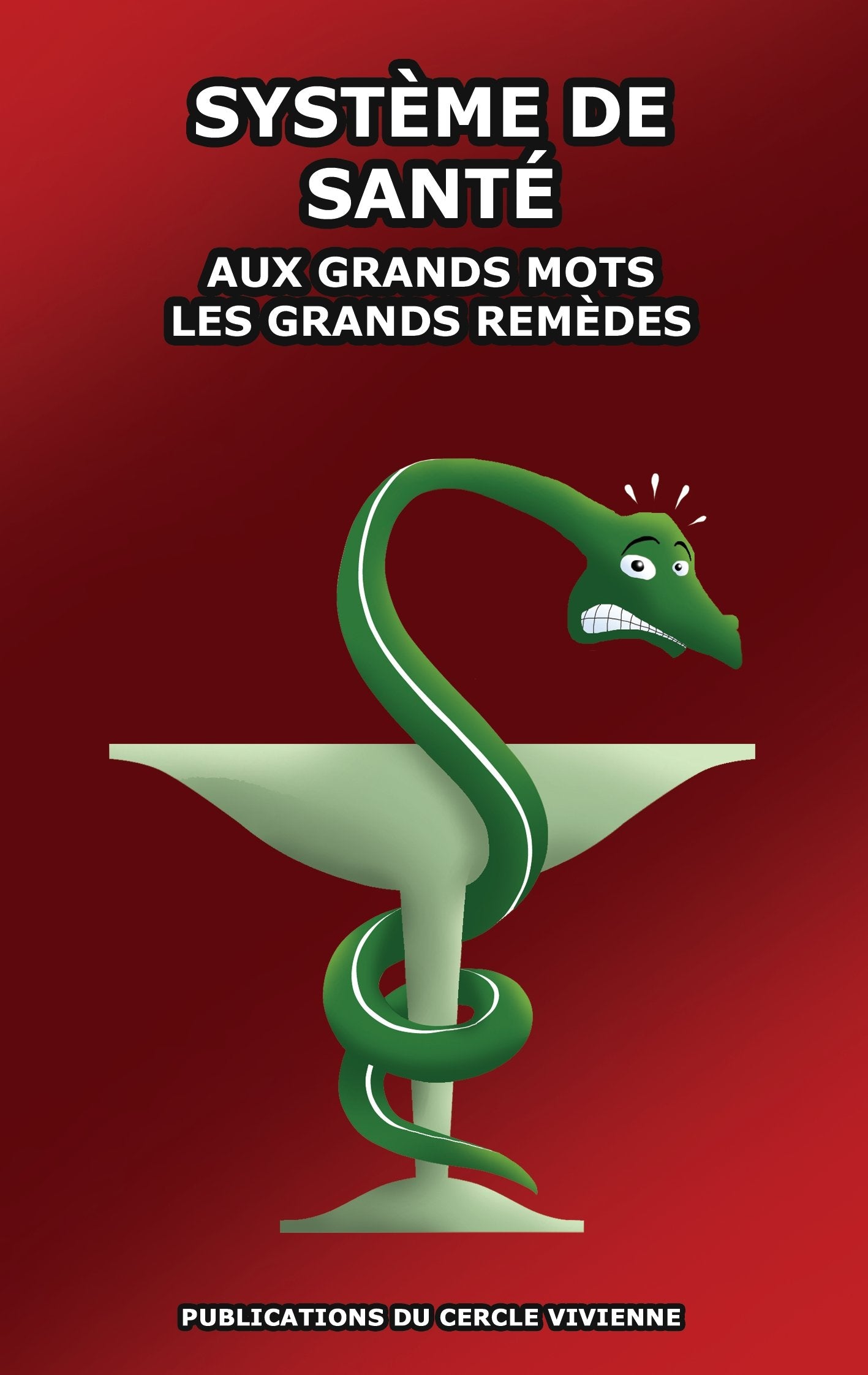 Système de santé: Aux grands mots les grands remèdes book
