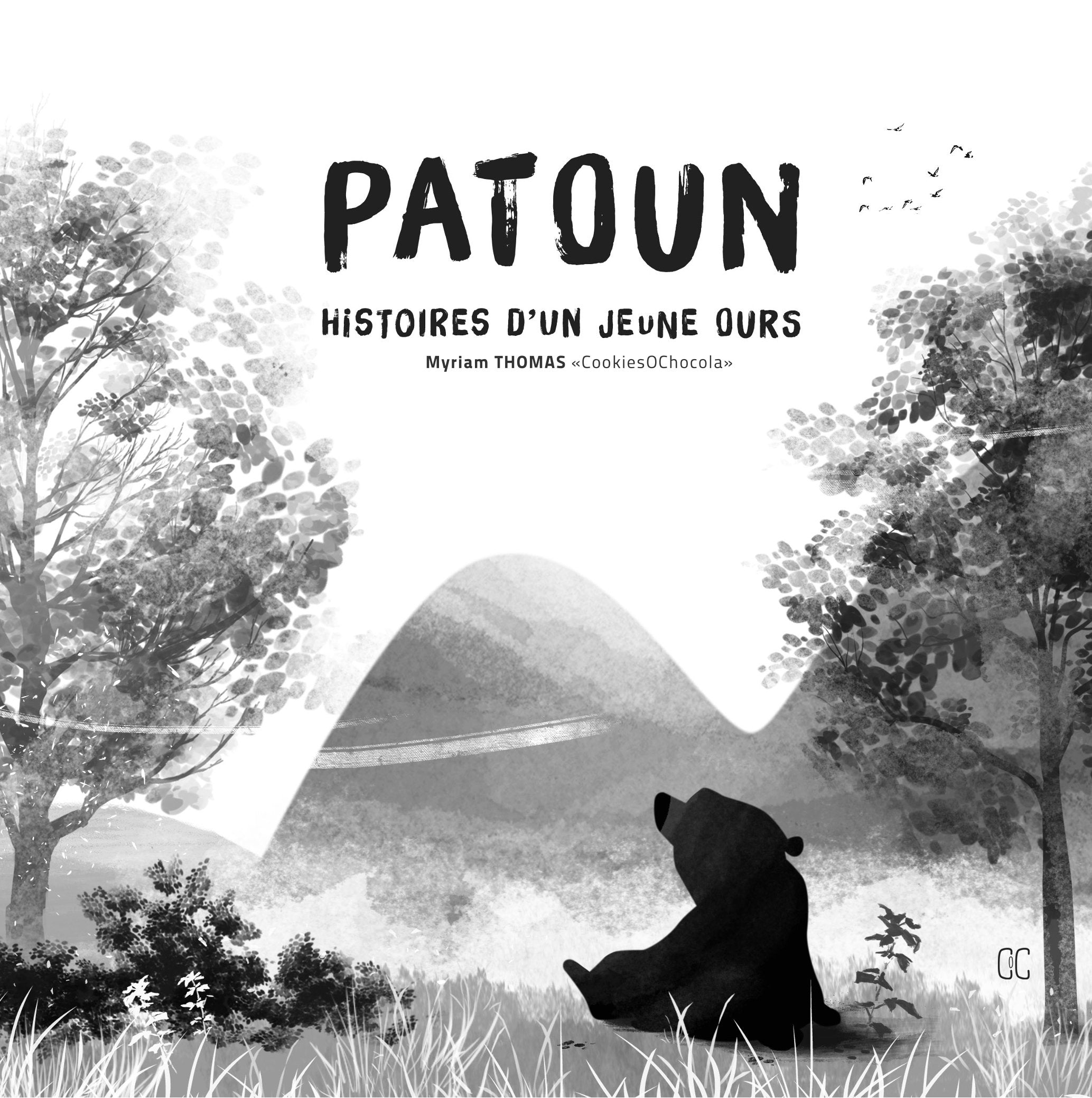 Patoun: Histoires d'un jeune ours book
