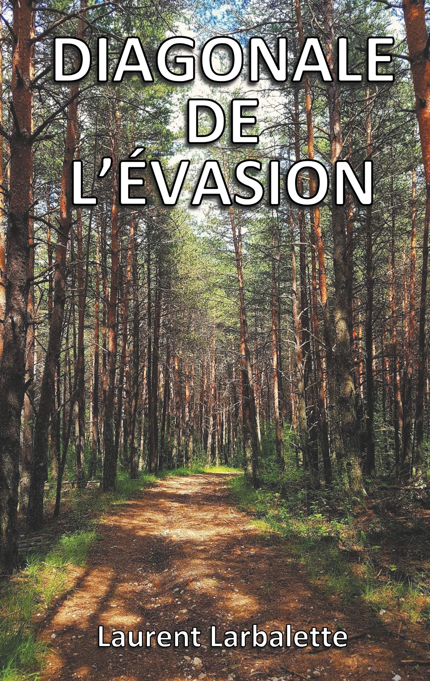 Diagonale de l'évasion (poche): De Menton à Montmorillon à pied book