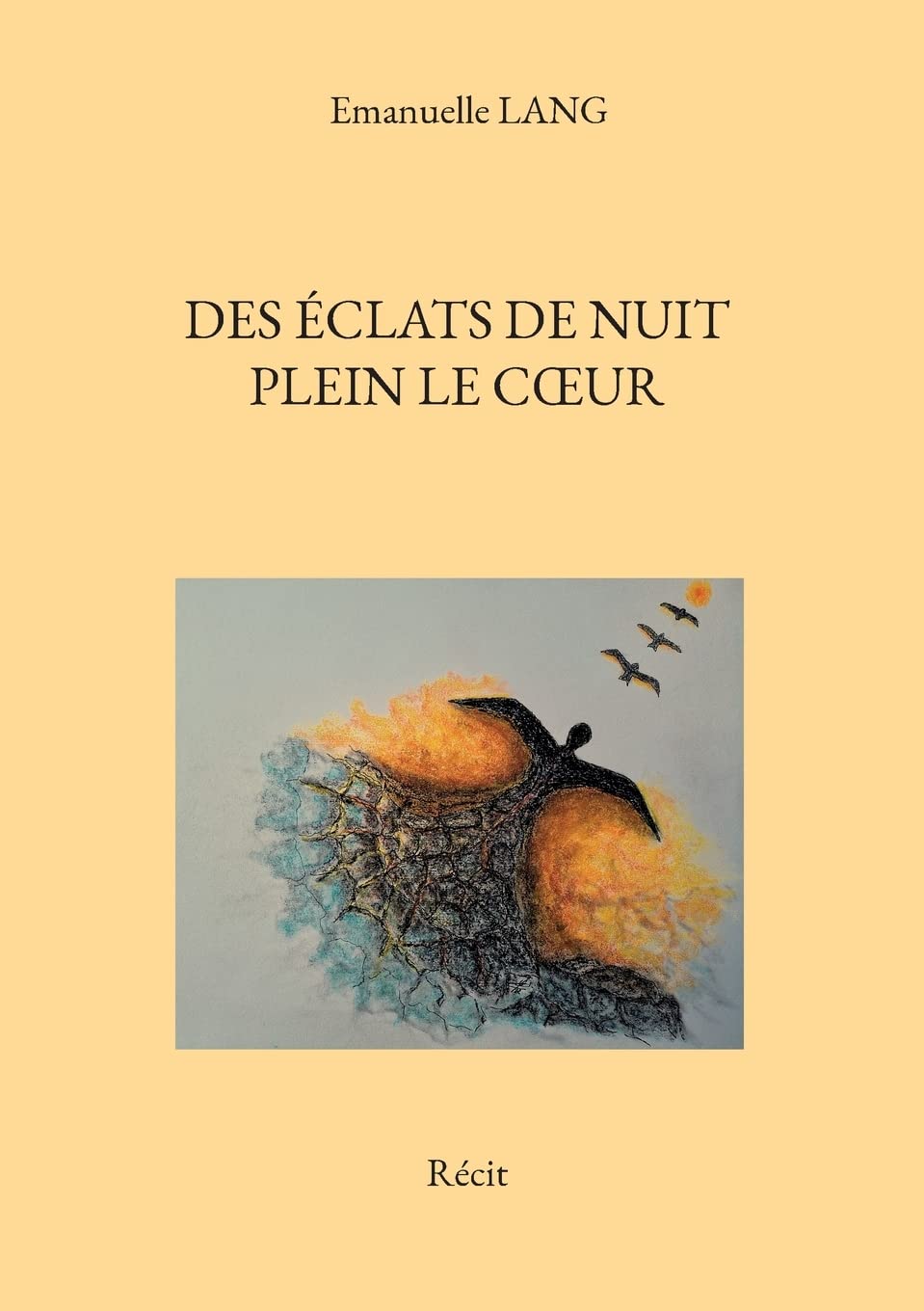 Des éclats de nuit plein le coeur: Récit book