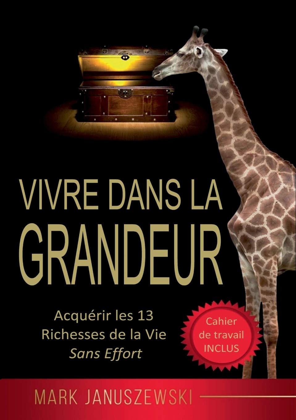 Vivre Dans La Grandeur: Acquérir les 13 Richesses de la Vie Sans Effort Lifestyle