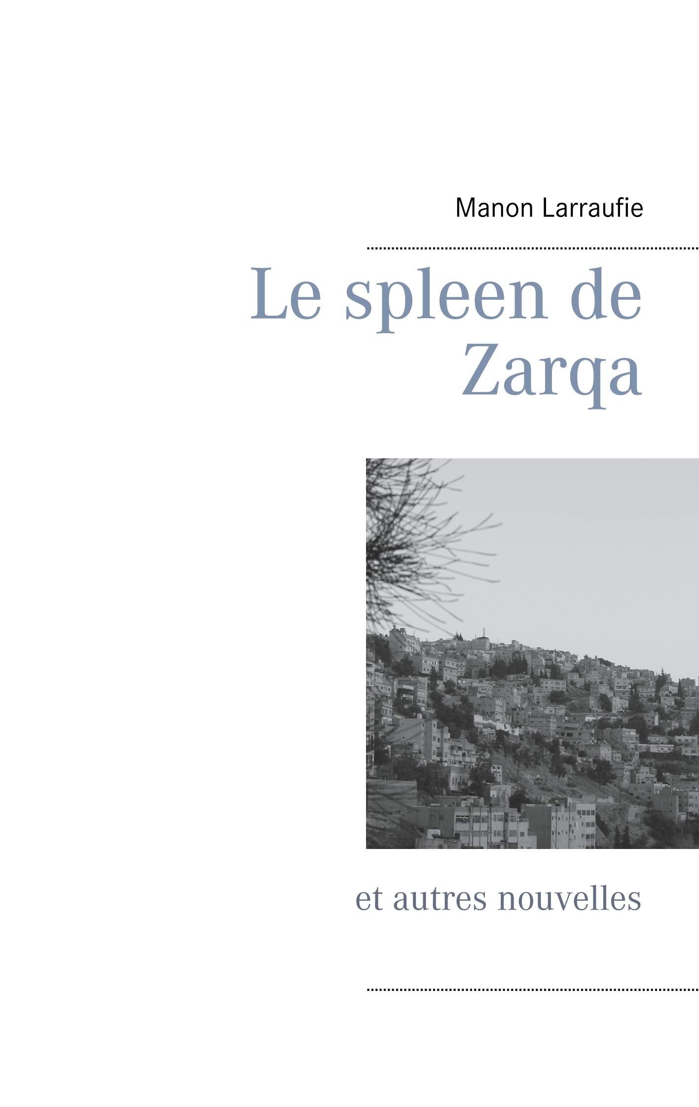 Le spleen de Zarqa: et autres nouvelles book