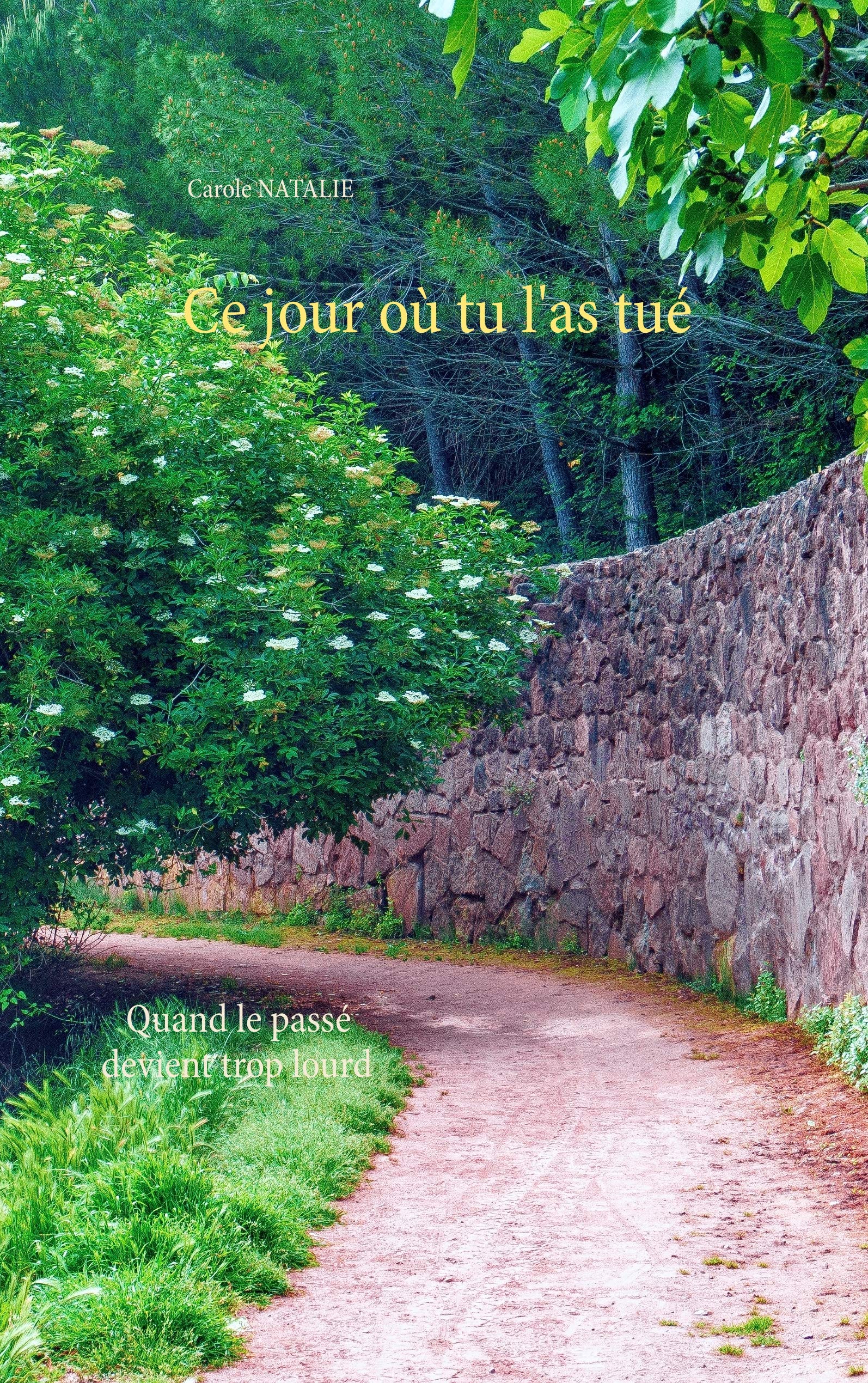 Ce jour où tu l'as tué book