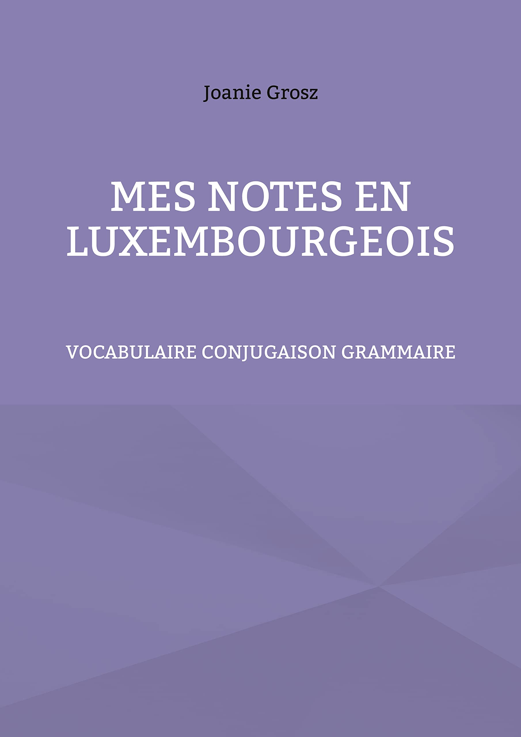Mes notes en luxembourgeois: vocabulaire, conjugaison et grammaire book
