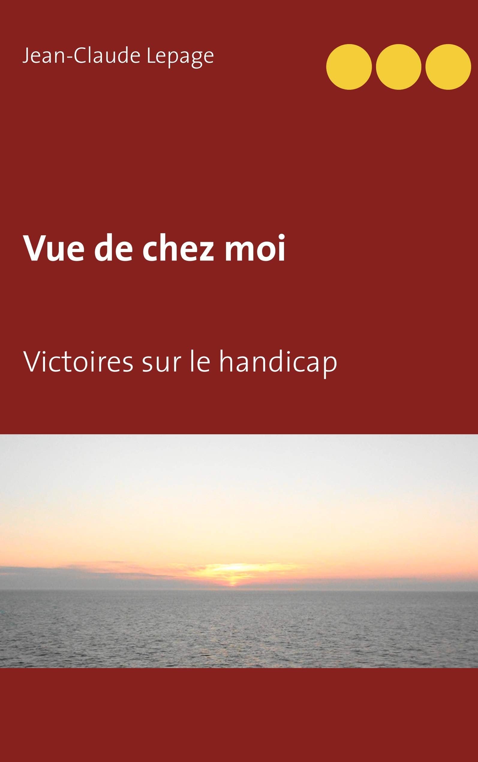 Vue de chez moi: Victoires sur le handicap book