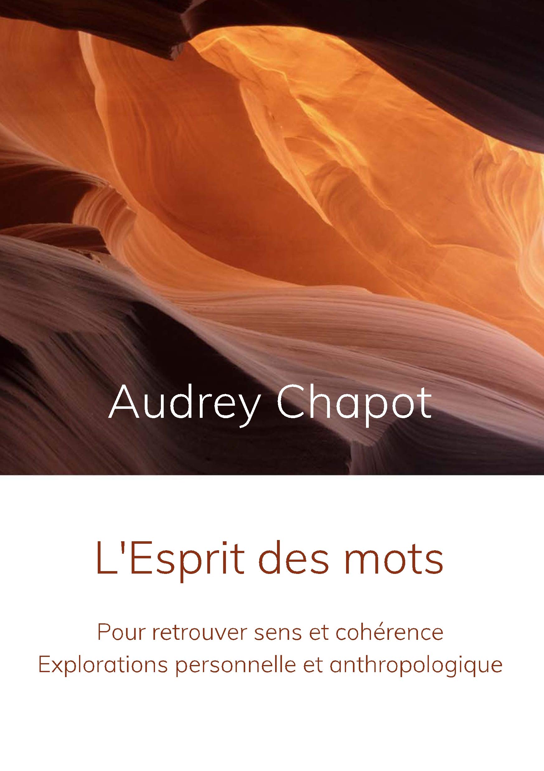 L'Esprit des mots: Pour retrouver sens et cohérence. Explorations personnelle et anthropologique book