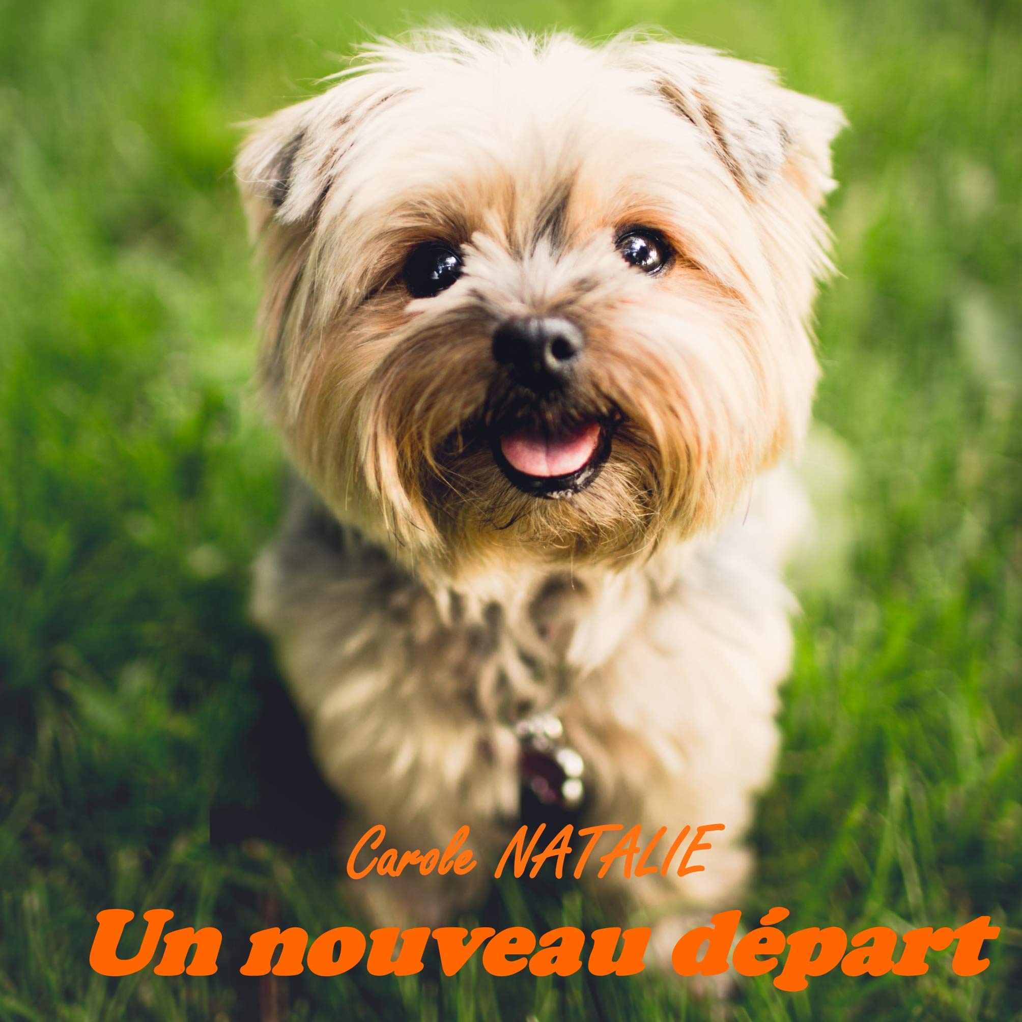 Un nouveau départ Non-fiction