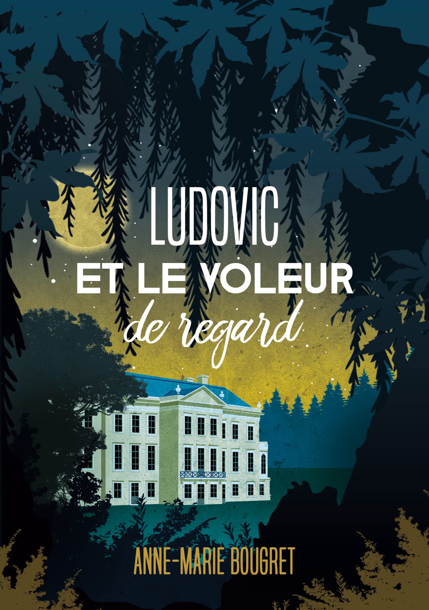 Ludovic et le voleur de regard book