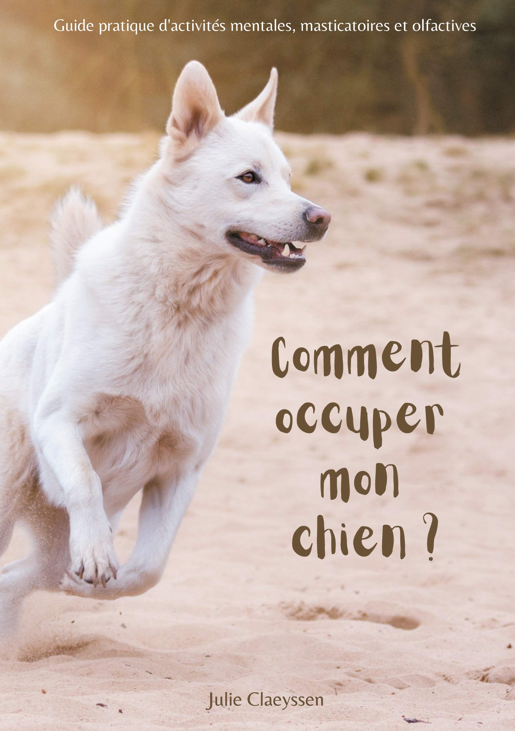Comment occuper mon chien ?: Guide pratique d'activités masticatoires, olfactives et mentales Pets