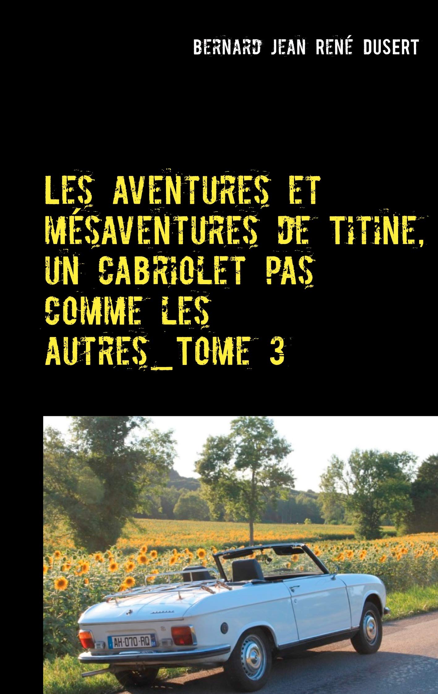 Les aventures et mésaventures de Titine, un cabriolet pas comme les autres_Tome 3: Deuxième semestre 2017: ça s'arrange book