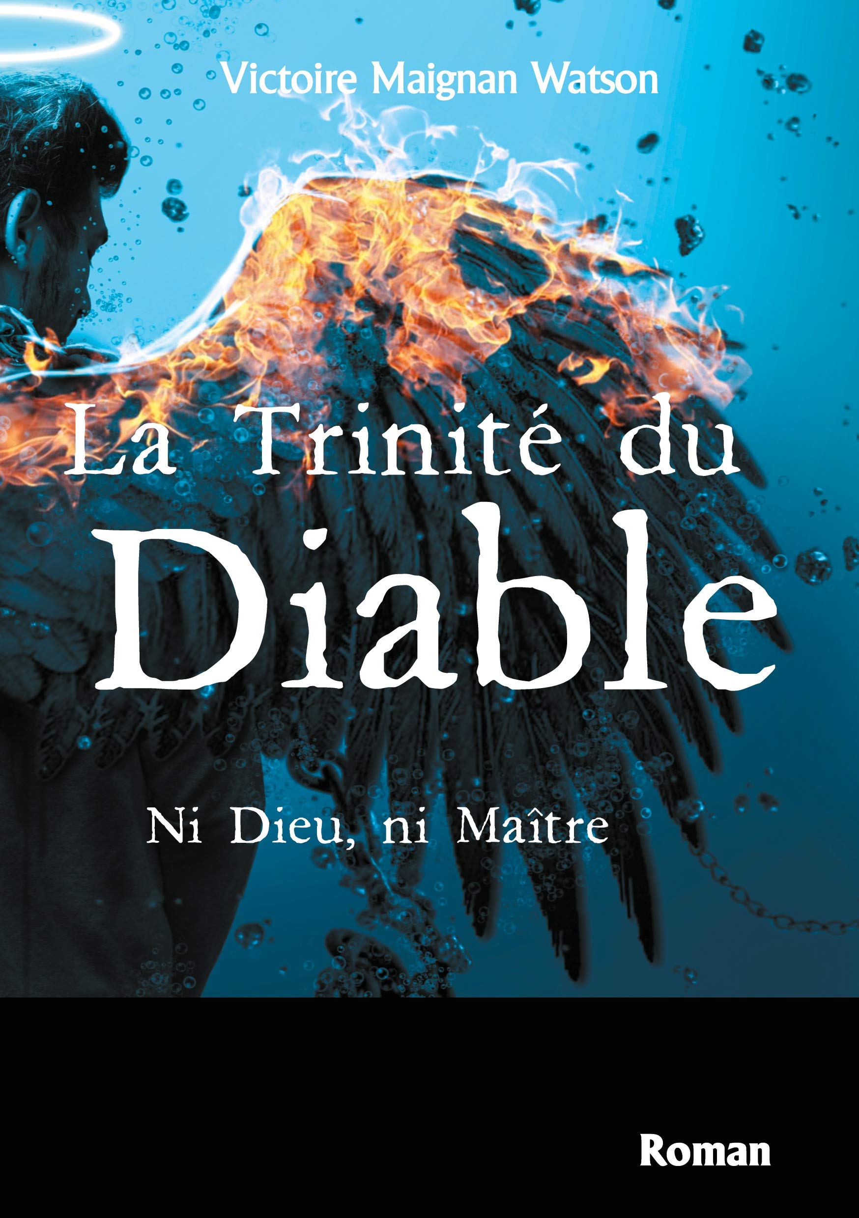 La Trinité du Diable: Ni Dieu, ni Maître book