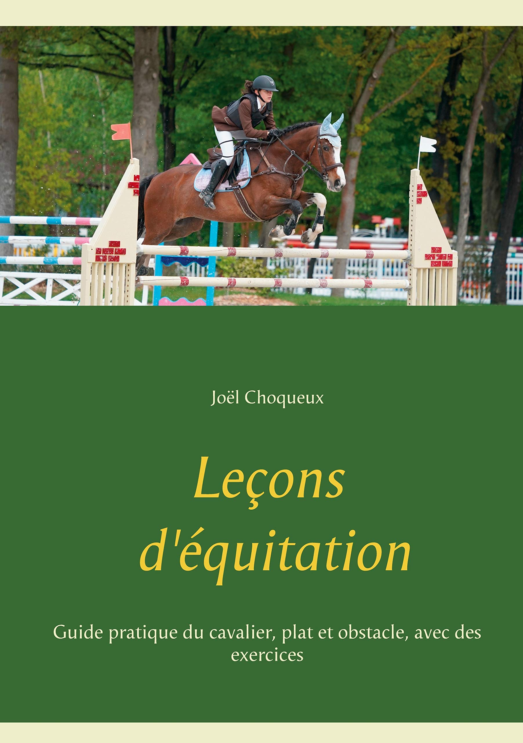 Leçons d'équitation: Guide pratique du cavalier, plat et obstacle, avec des exercices book