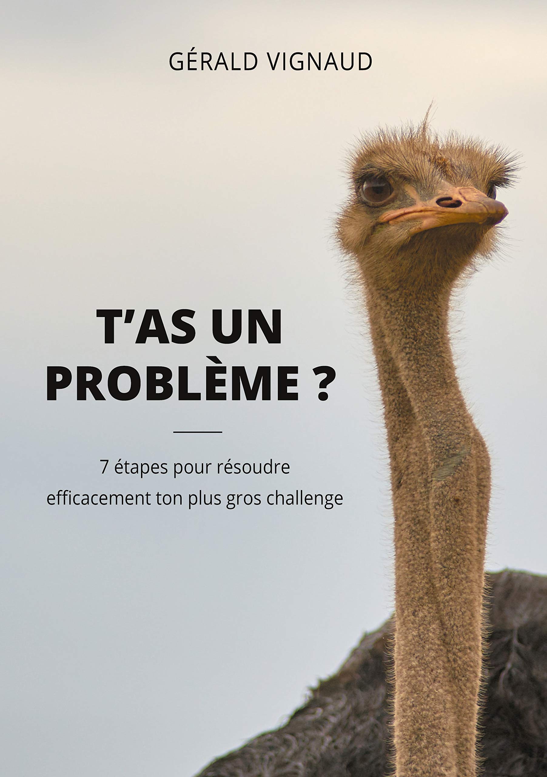 T'as un problème ?: 7 étapes pour résoudre efficacement ton plus gros challenge book