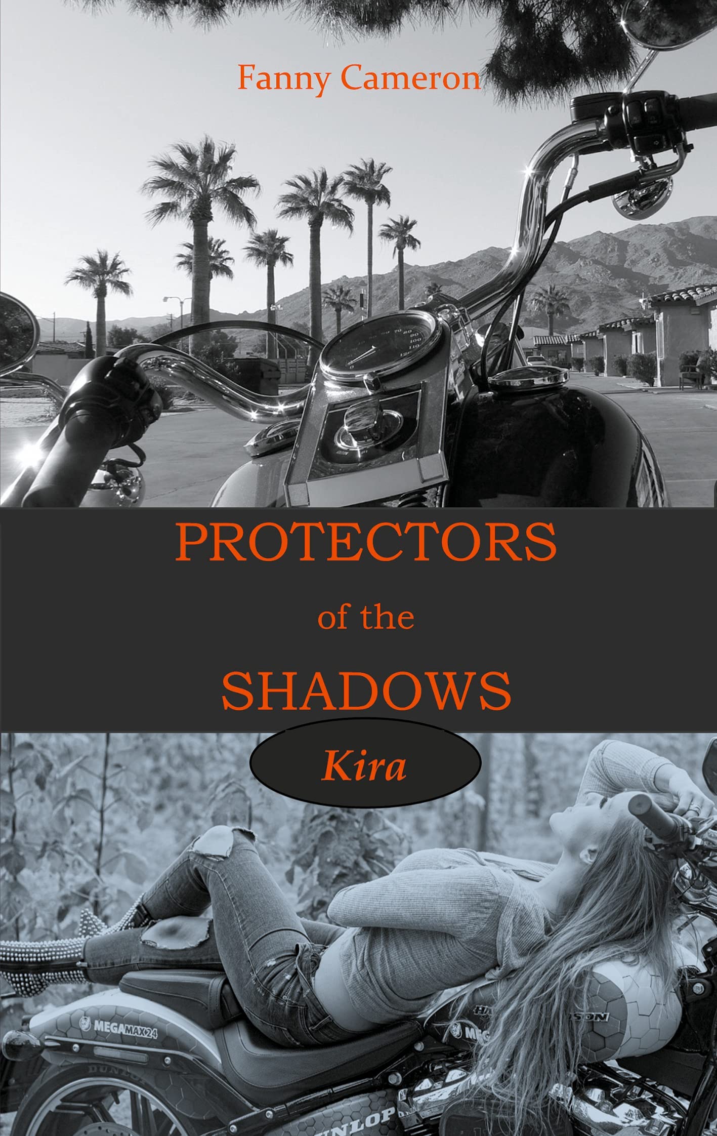 Protectors of the Shadows: Kira Contemporary literature