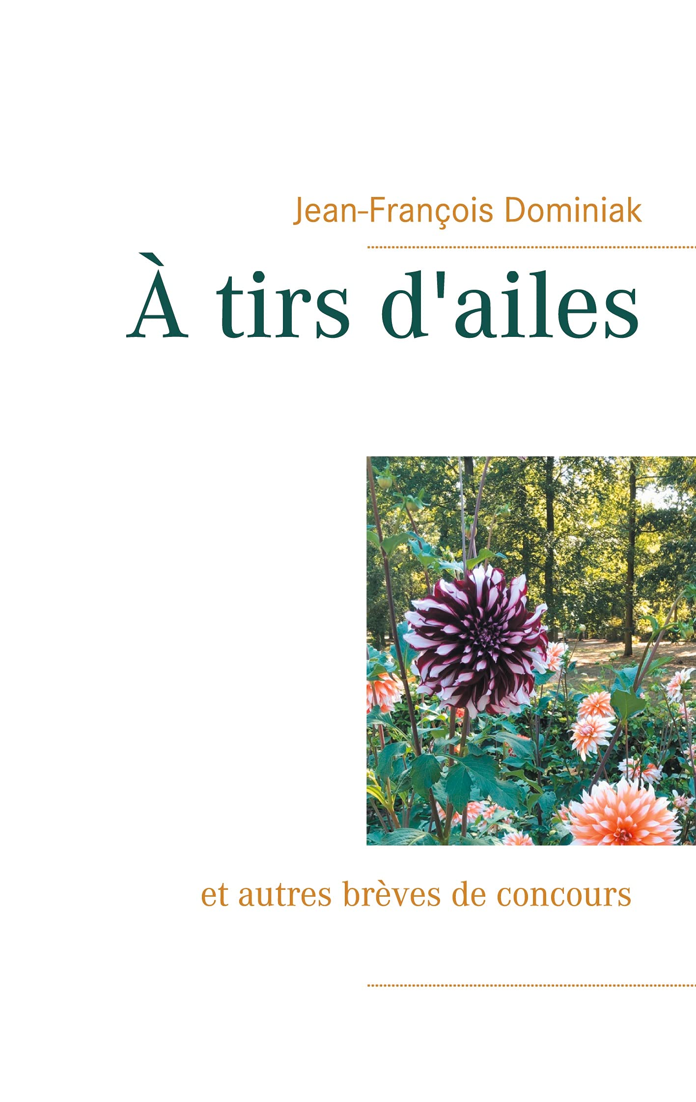 À tirs d'ailes Contemporary literature