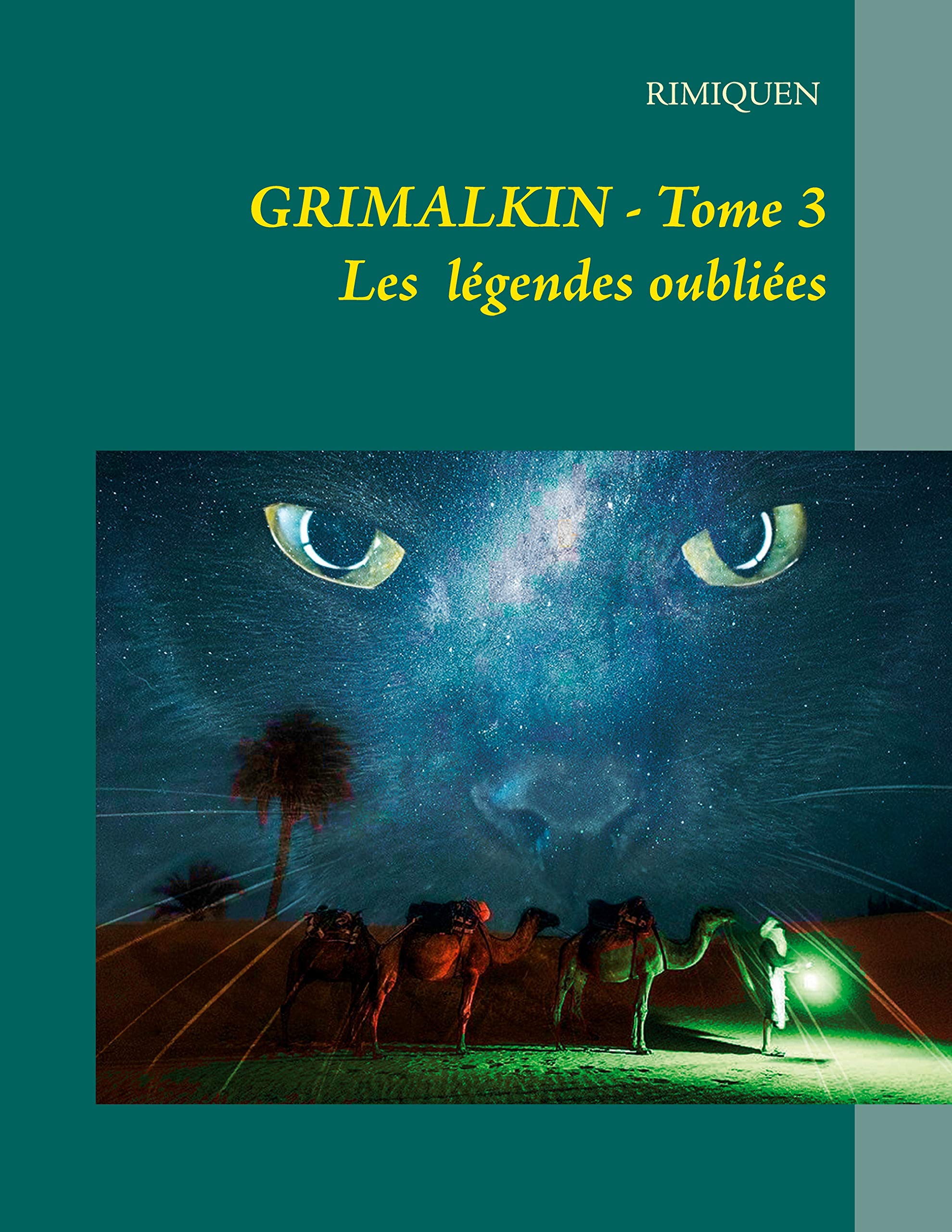 GRIMALKIN TOME III: LES LÉGENDES OUBLIÉES book