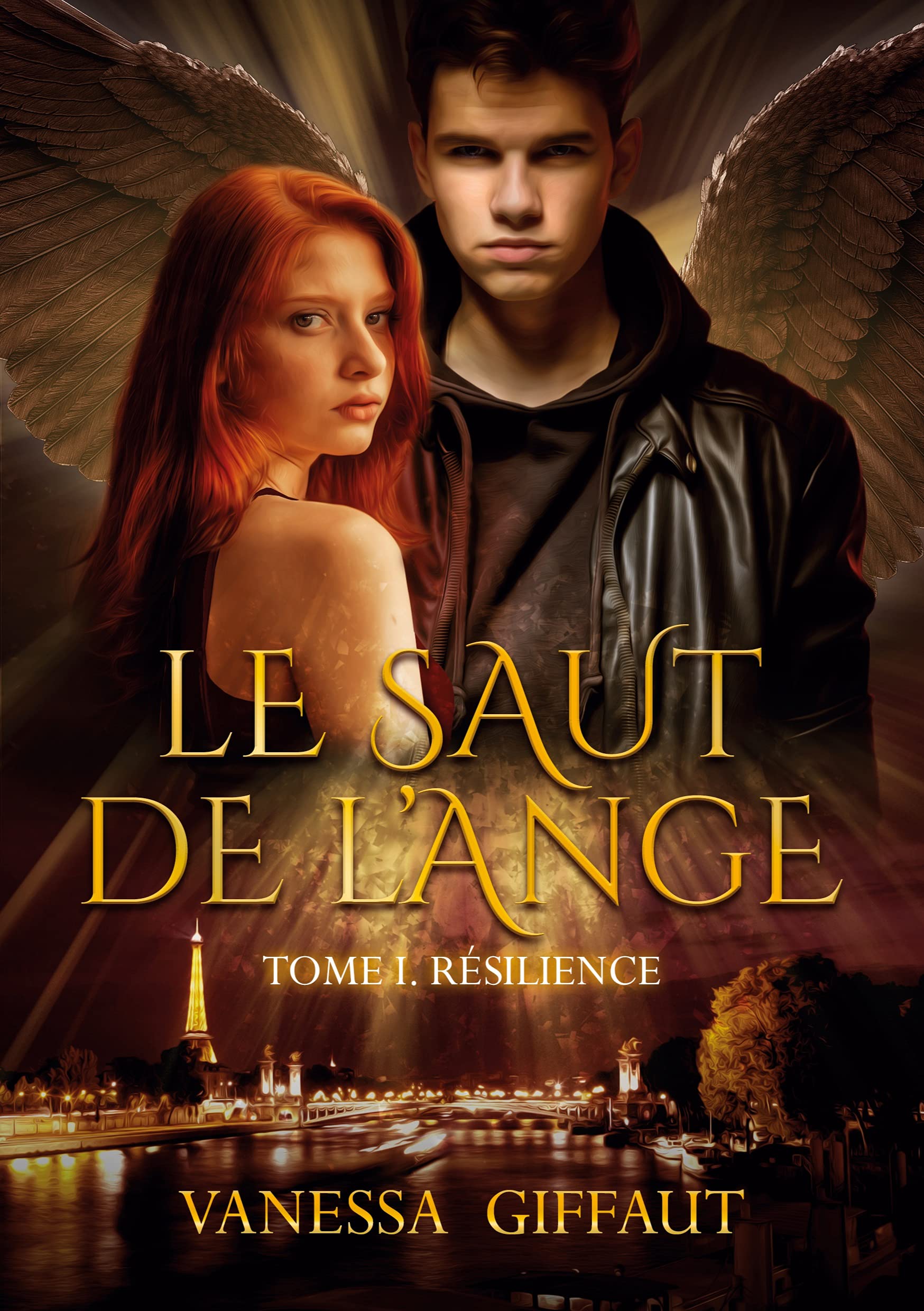 Le Saut de l'Ange: Tome 1 : Résilience book