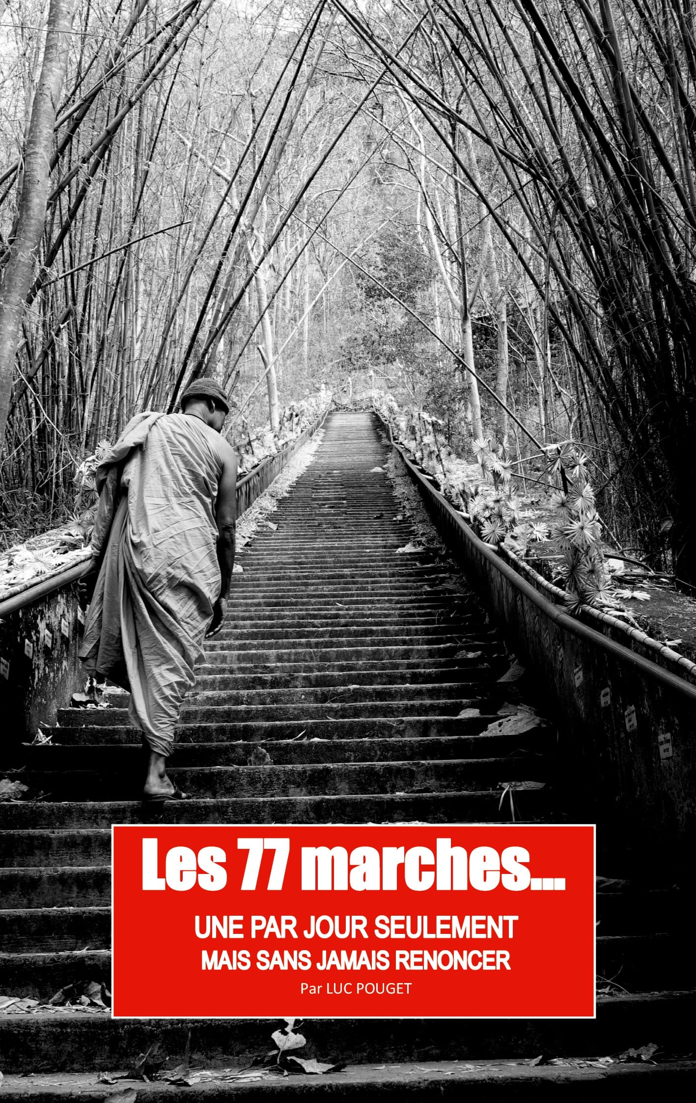 LES 77 MARCHES: Une par jour seulement, sans jamais renoncer ! book
