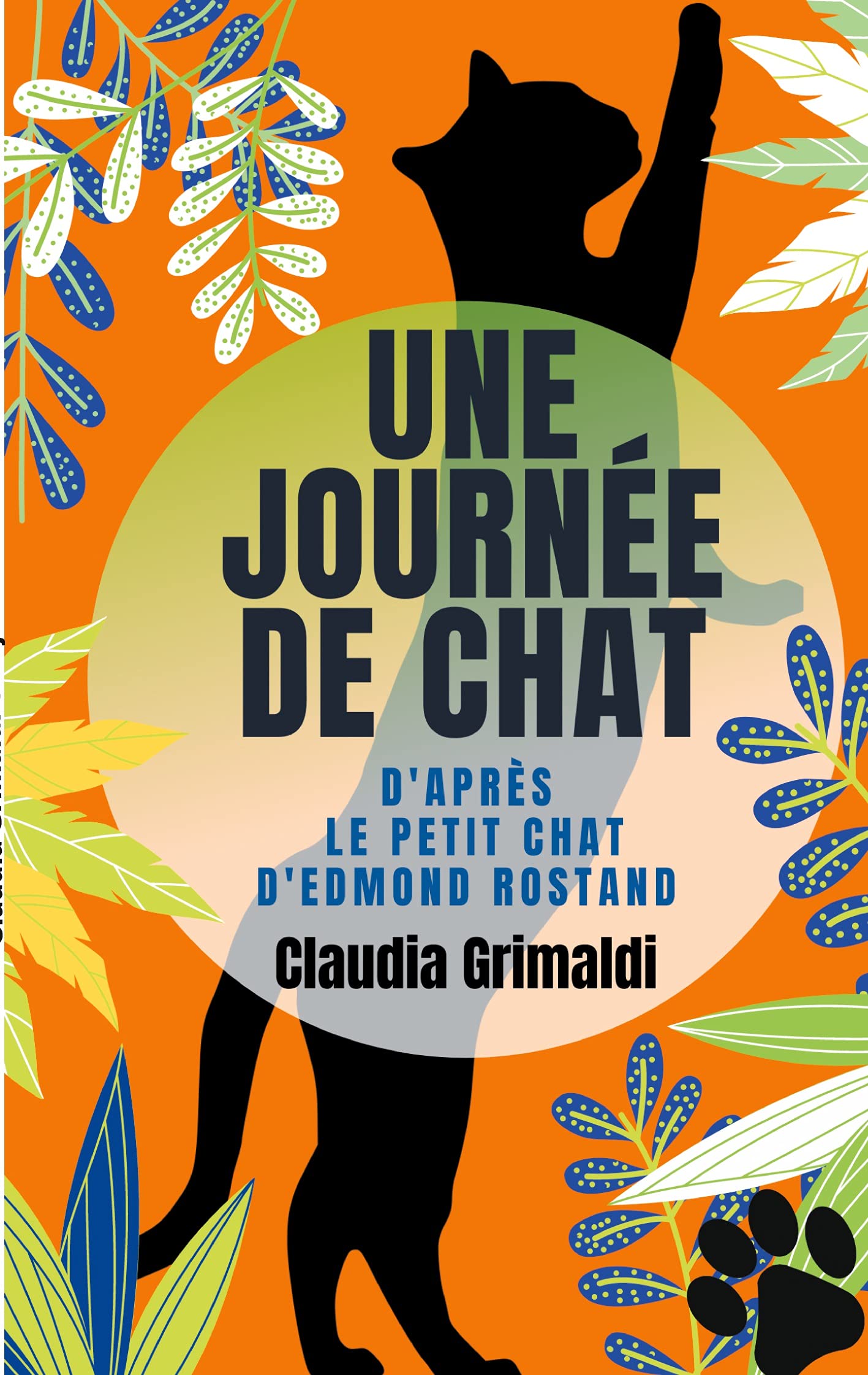 Une journée de chat: d 'après le petit chat d'Edmond Rostand book