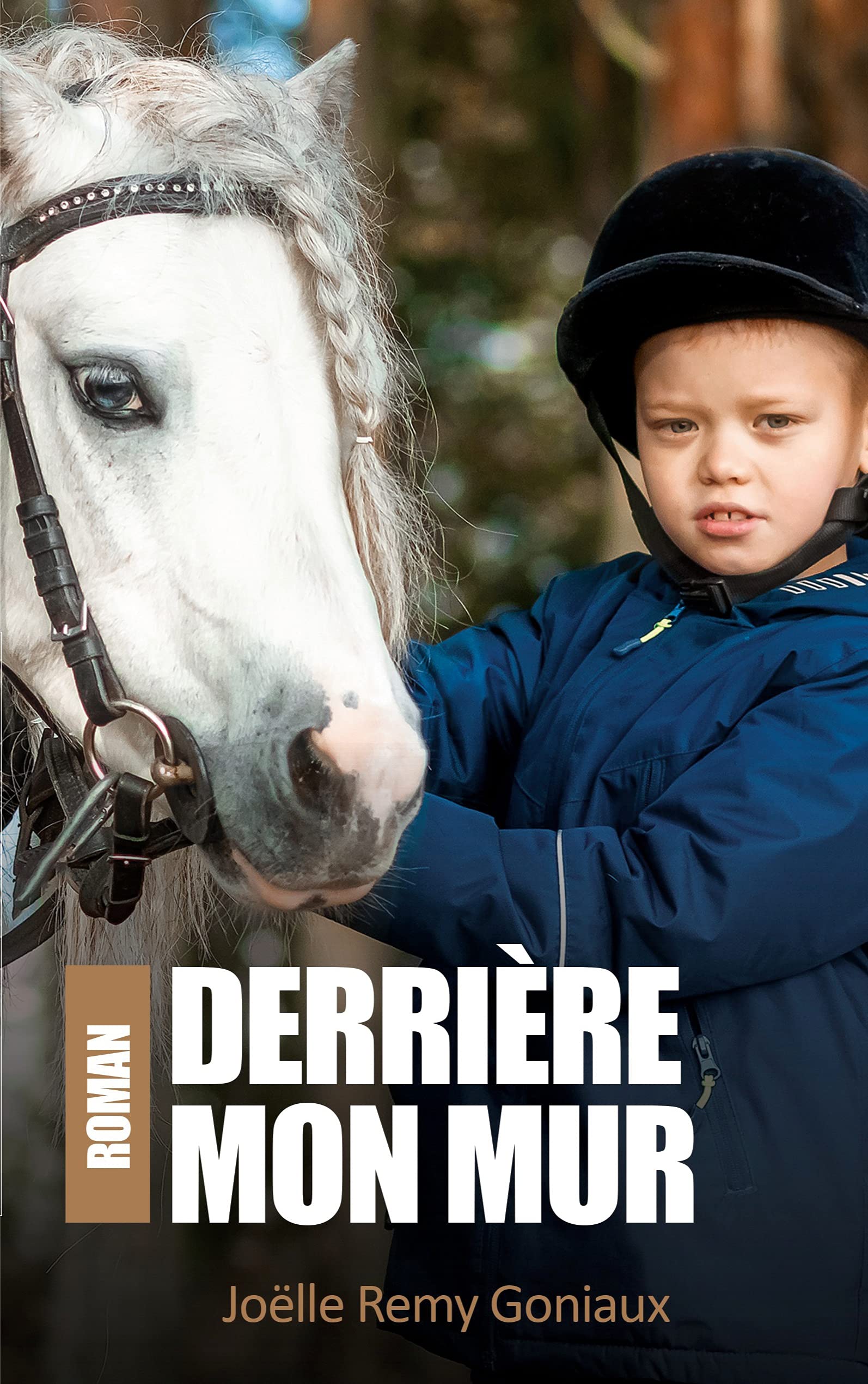 Derrière mon mur book