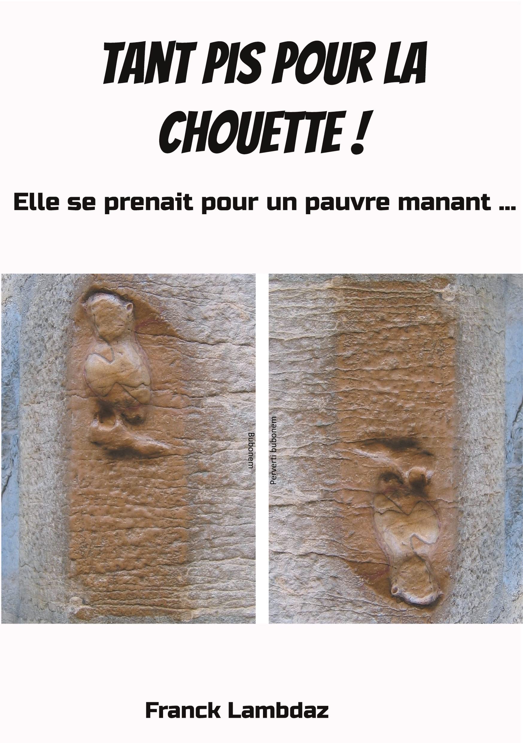 Tant pis pour la chouette !: Elle se prenait pour un pauvre manant... book
