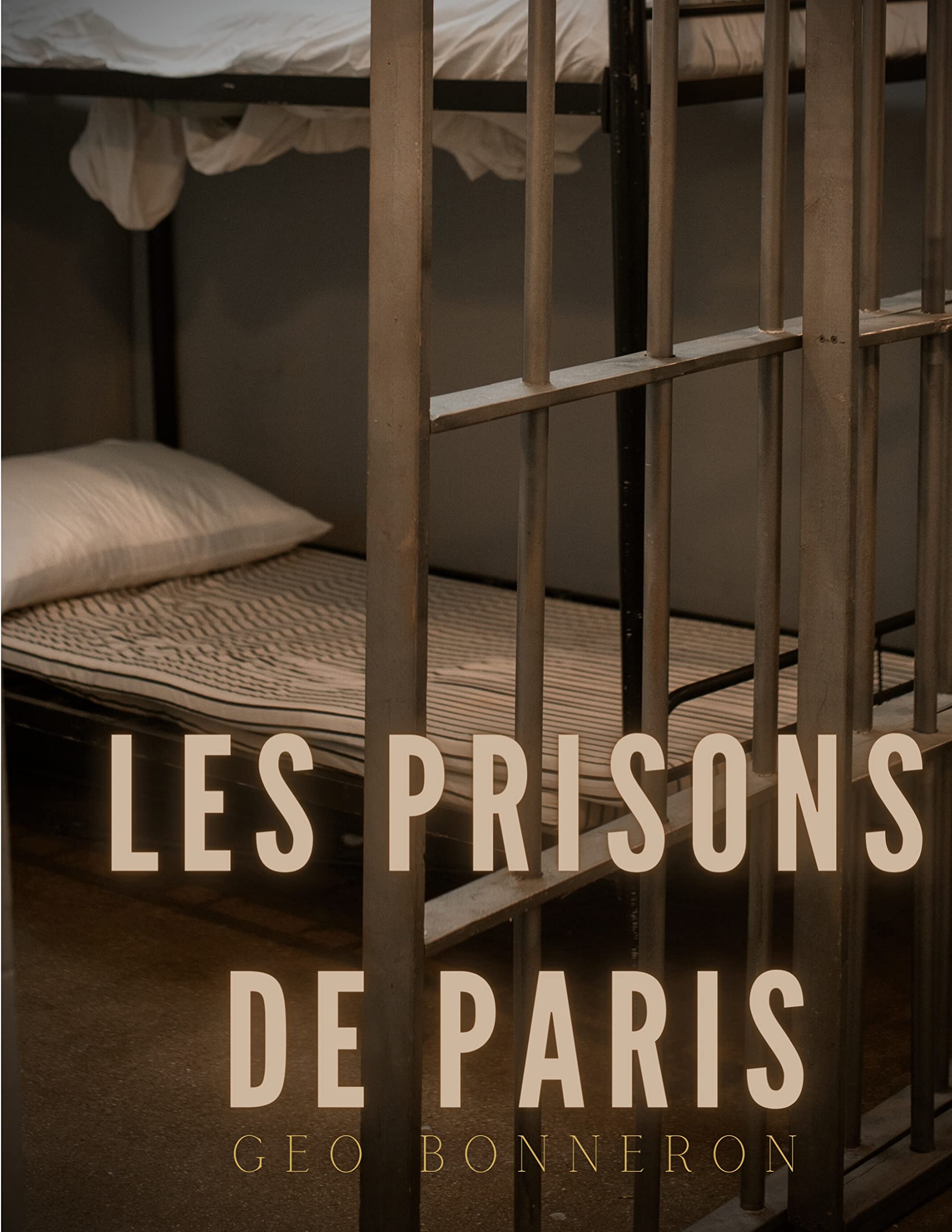 Les Prisons de Paris: Enquête sur le système pénitentiaire parisien book