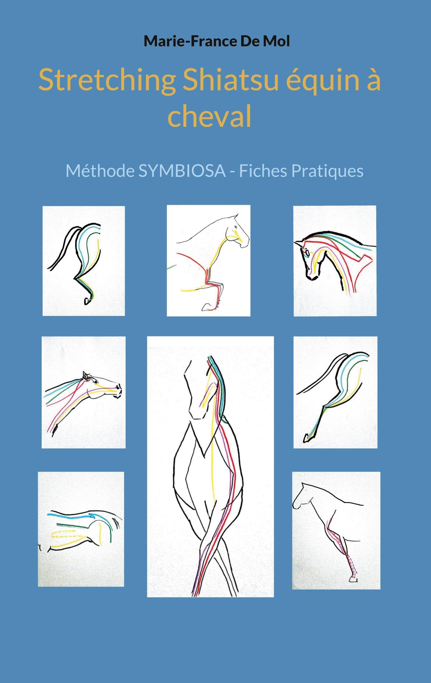 Stretching Shiatsu équin à cheval: Méthode SYMBIOSA - Fiches Pratiques book