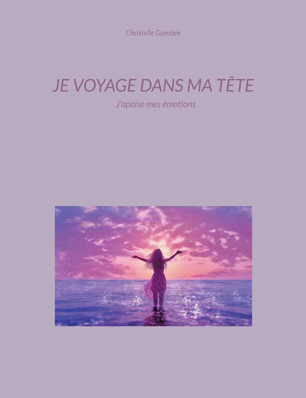 Je voyage dans ma tête: J'apaise mes émotions book