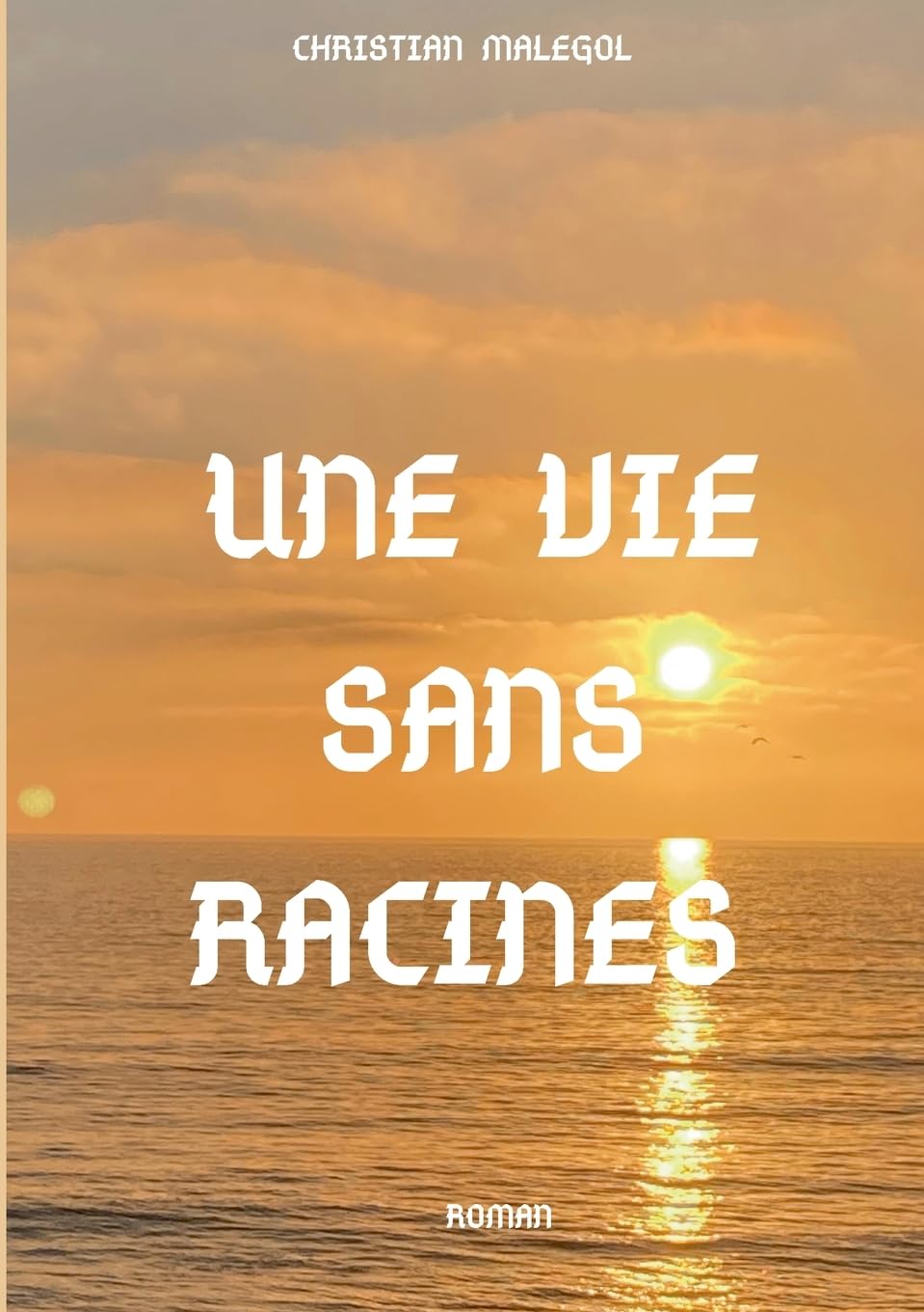 Une vie sans racines Contemporary literature