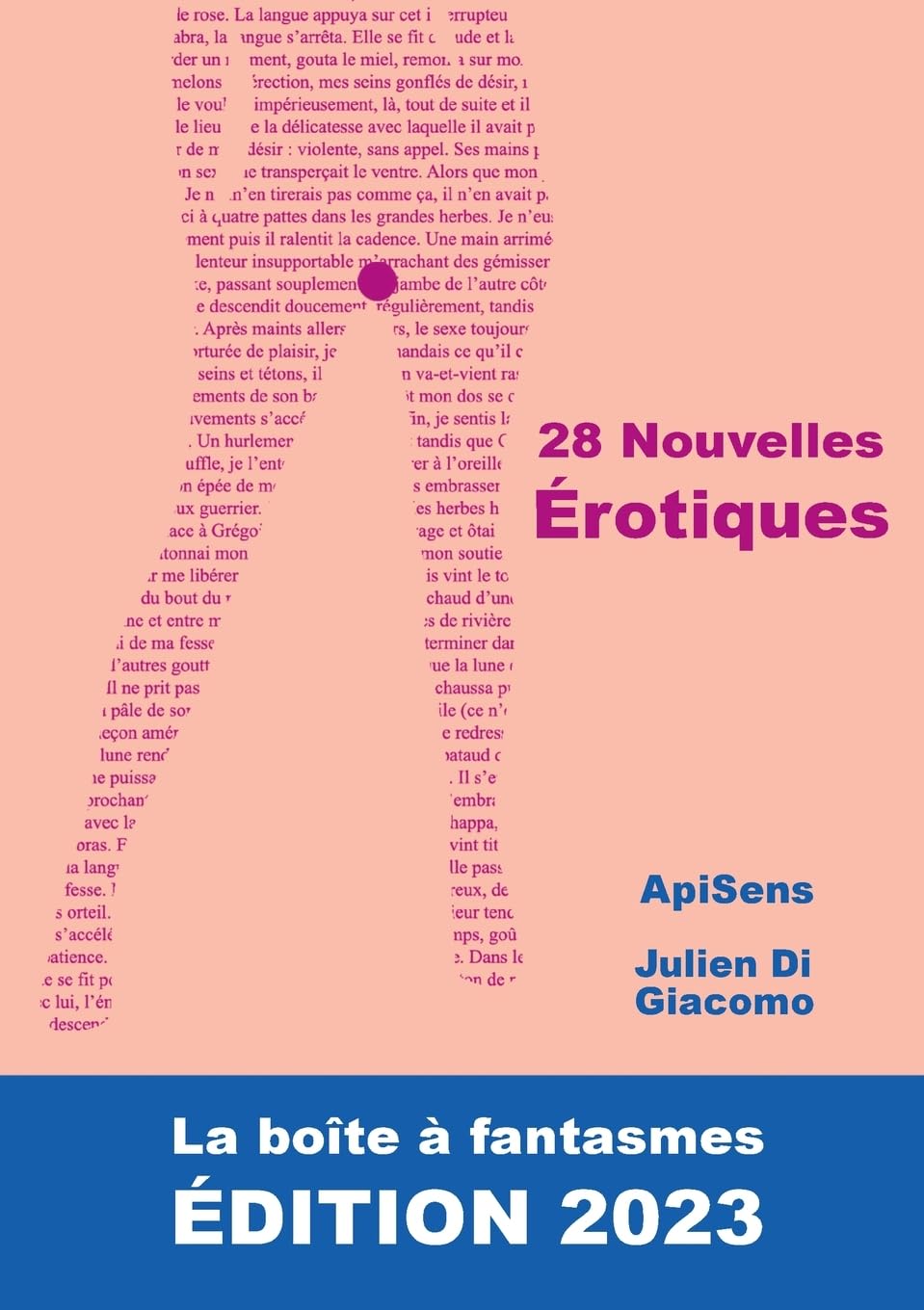 28 Nouvelles Érotiques: La Boîte à Fantasmes. ÉDITION 2023 book
