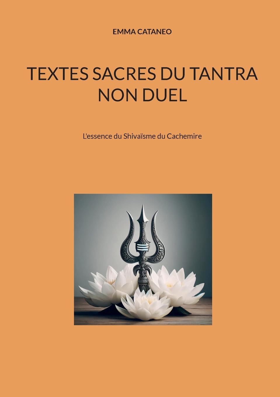Textes sacres du tantra non duel: L'essence du Shivaïsme du Cachemire book