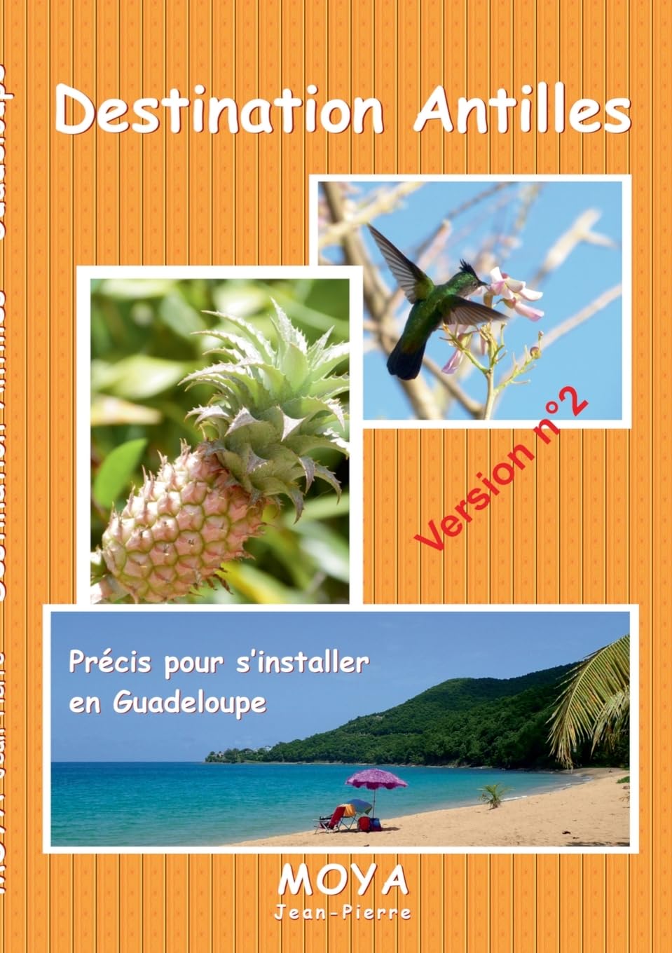 Destination Antilles: Précis pour s'installer en Guadeloupe book
