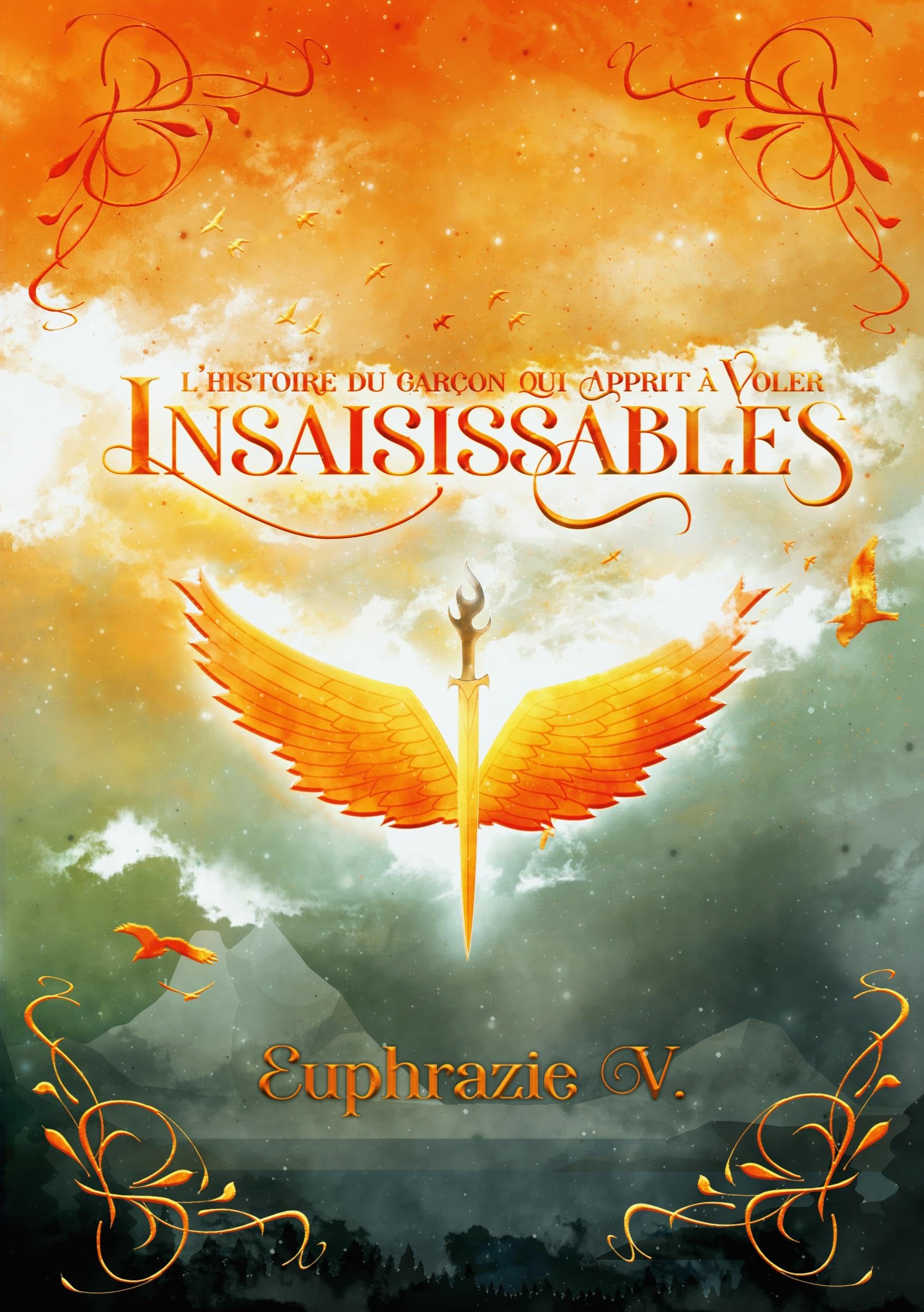 Insaisissables: L'histoire du garçon qui apprit à Voler book