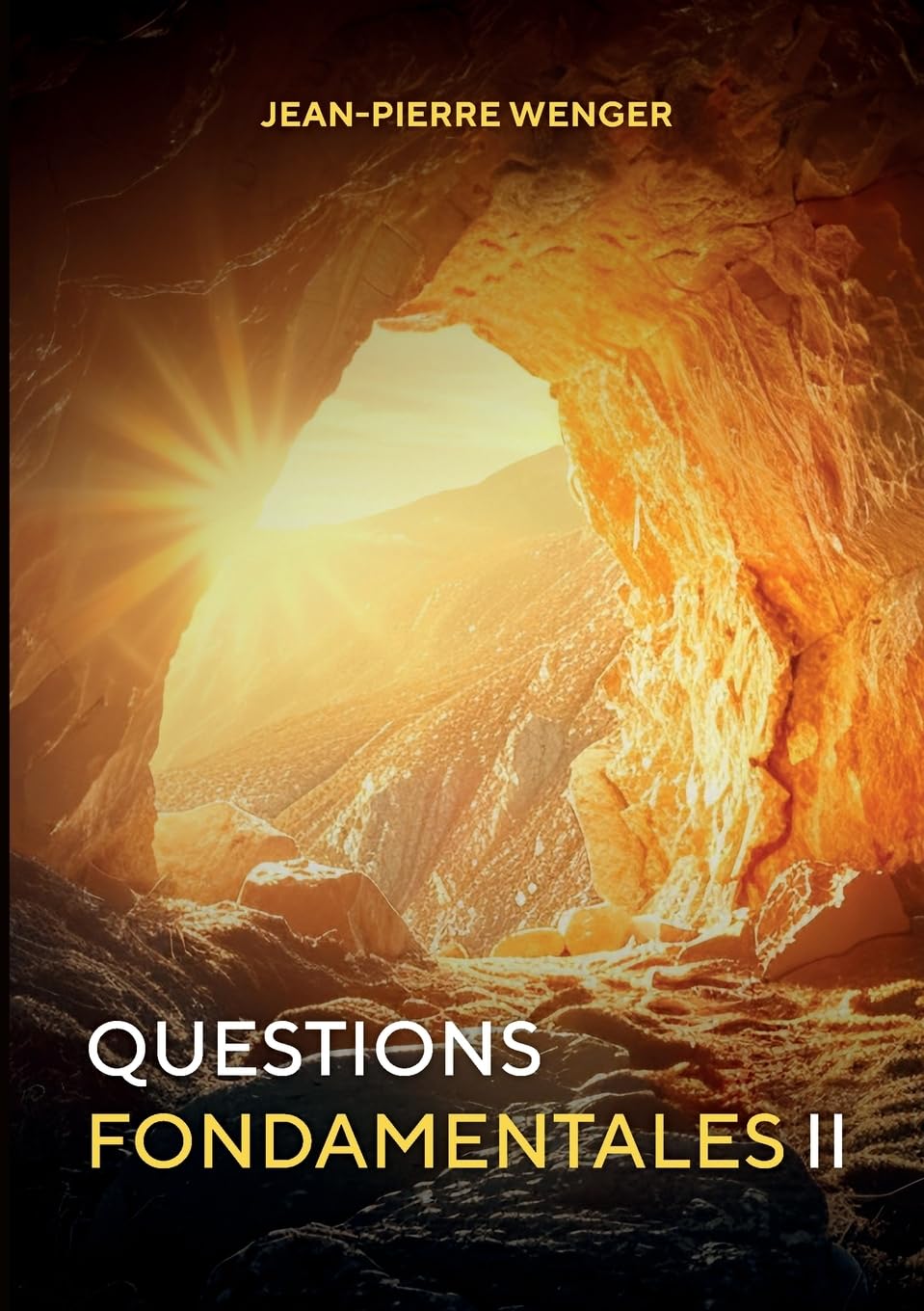 Questions Fondamentales II book
