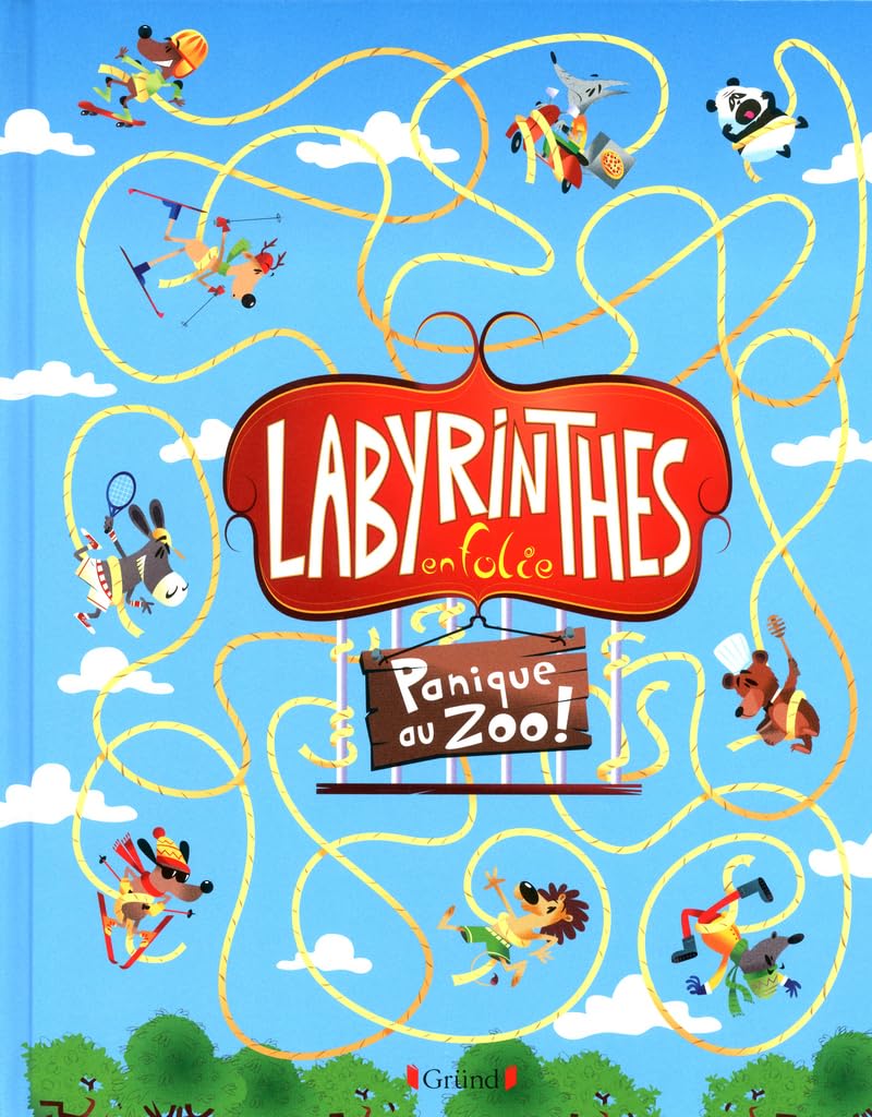 LABYRINTHES EN FOLIE - PANIQUE book