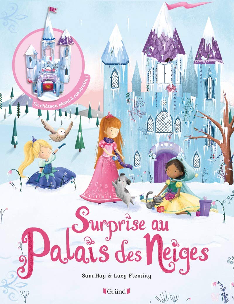 Surprise au Palais des Neiges: Avec un château géant à construire Living & Furnishing